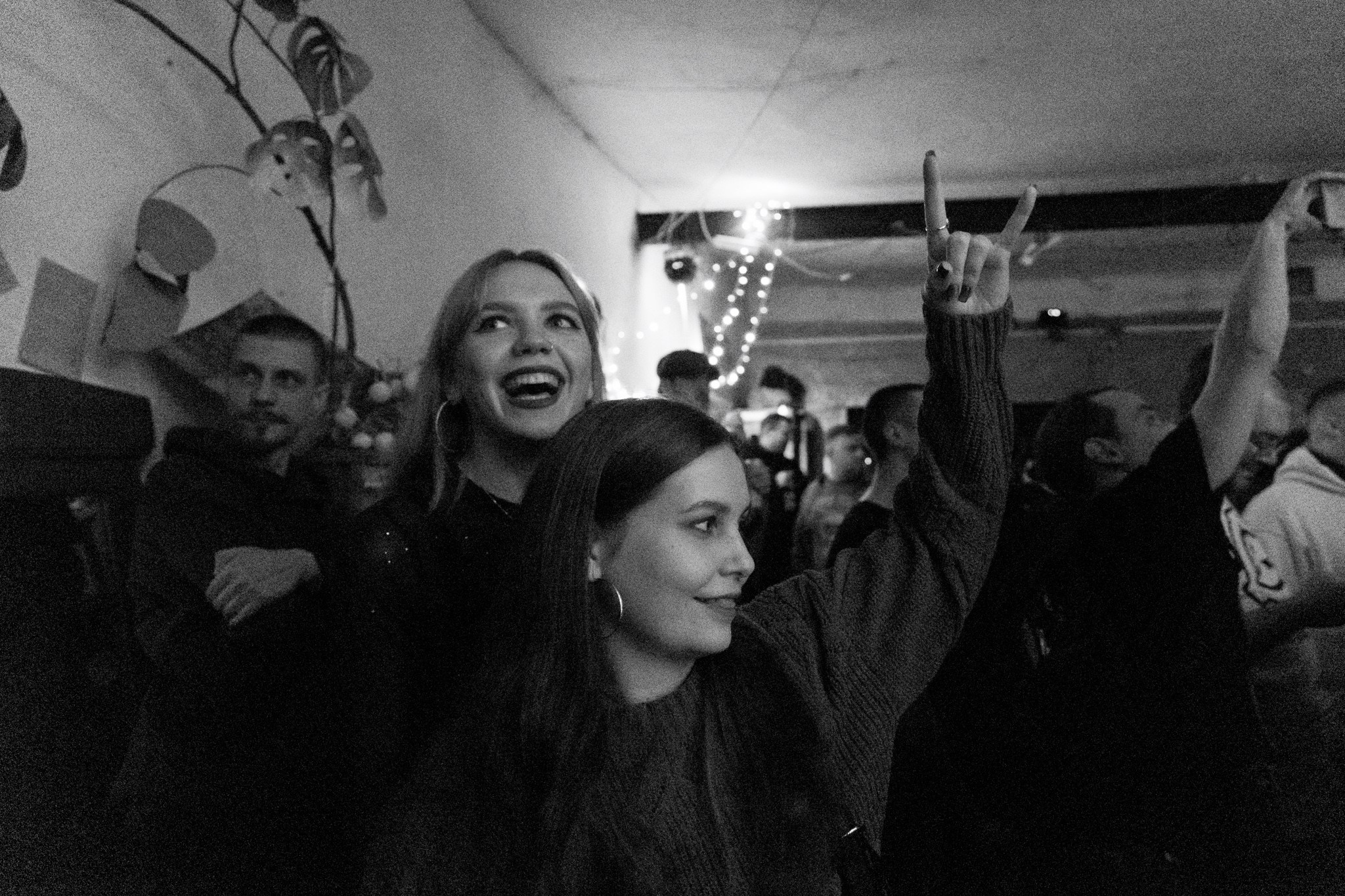 Змееед, Apodemus, 20.12.25, TAGO)))MAGO)))