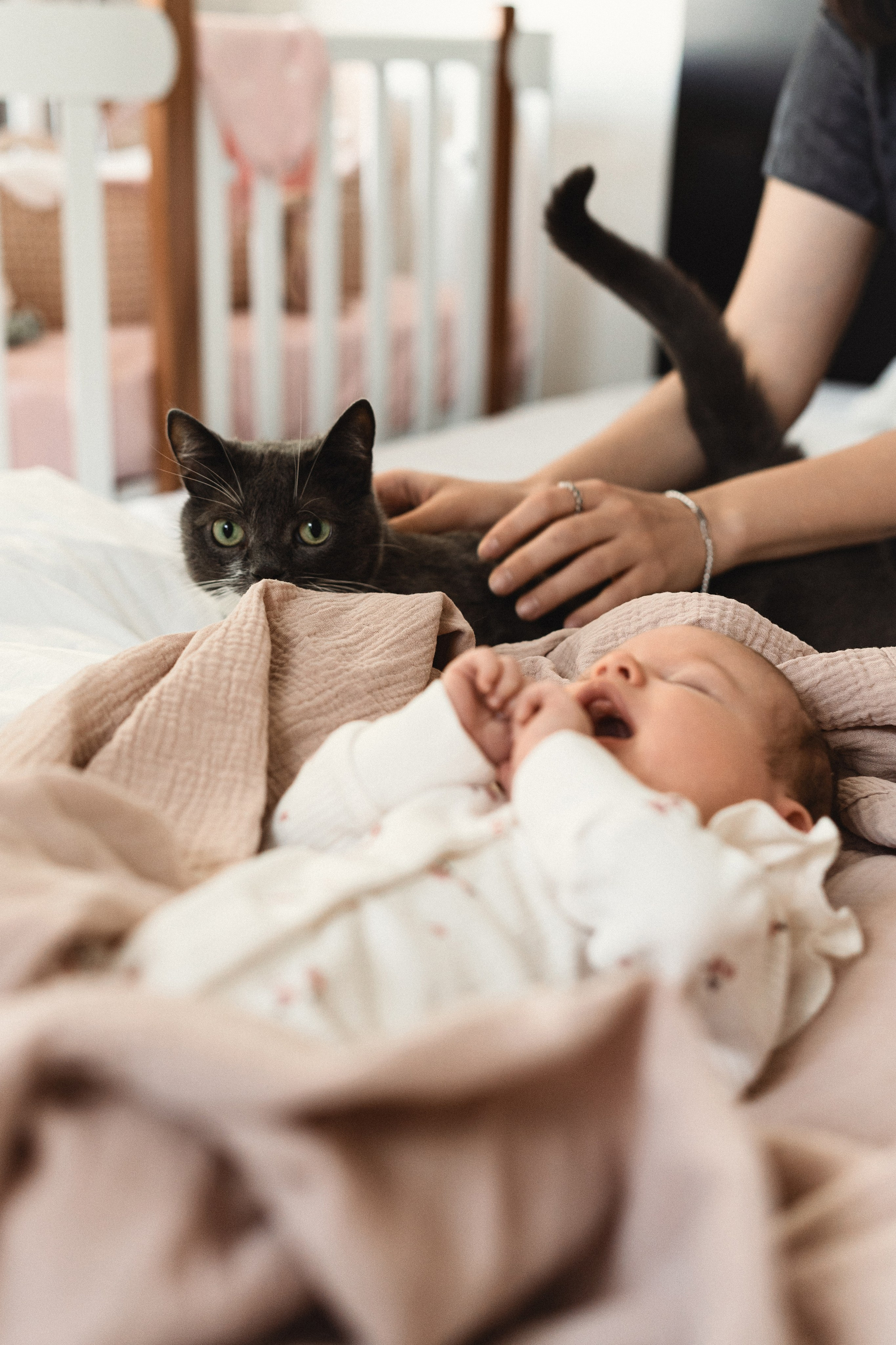 Маша, Боря и Амелия. Фотограф Москва. Екатерина Дударевич