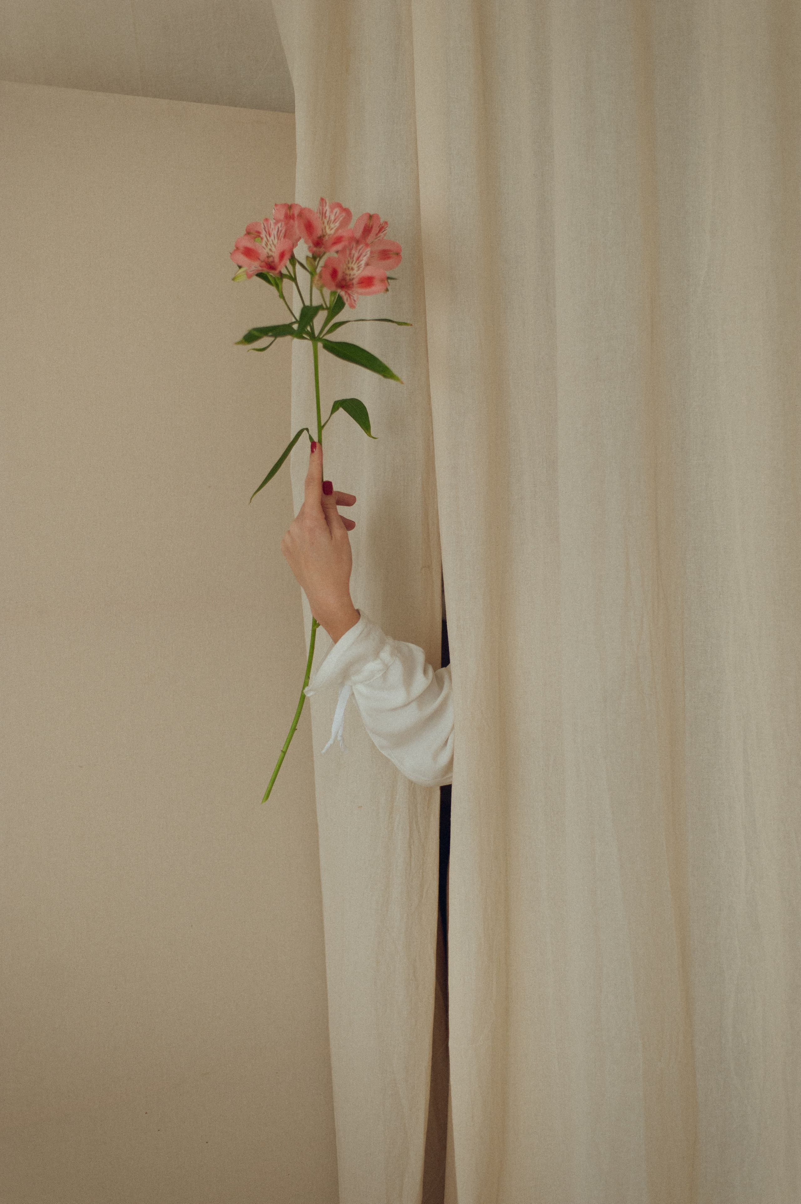 Соня | Little Women. Портретный свадебный фотограф Крым | Евгения Щитенко