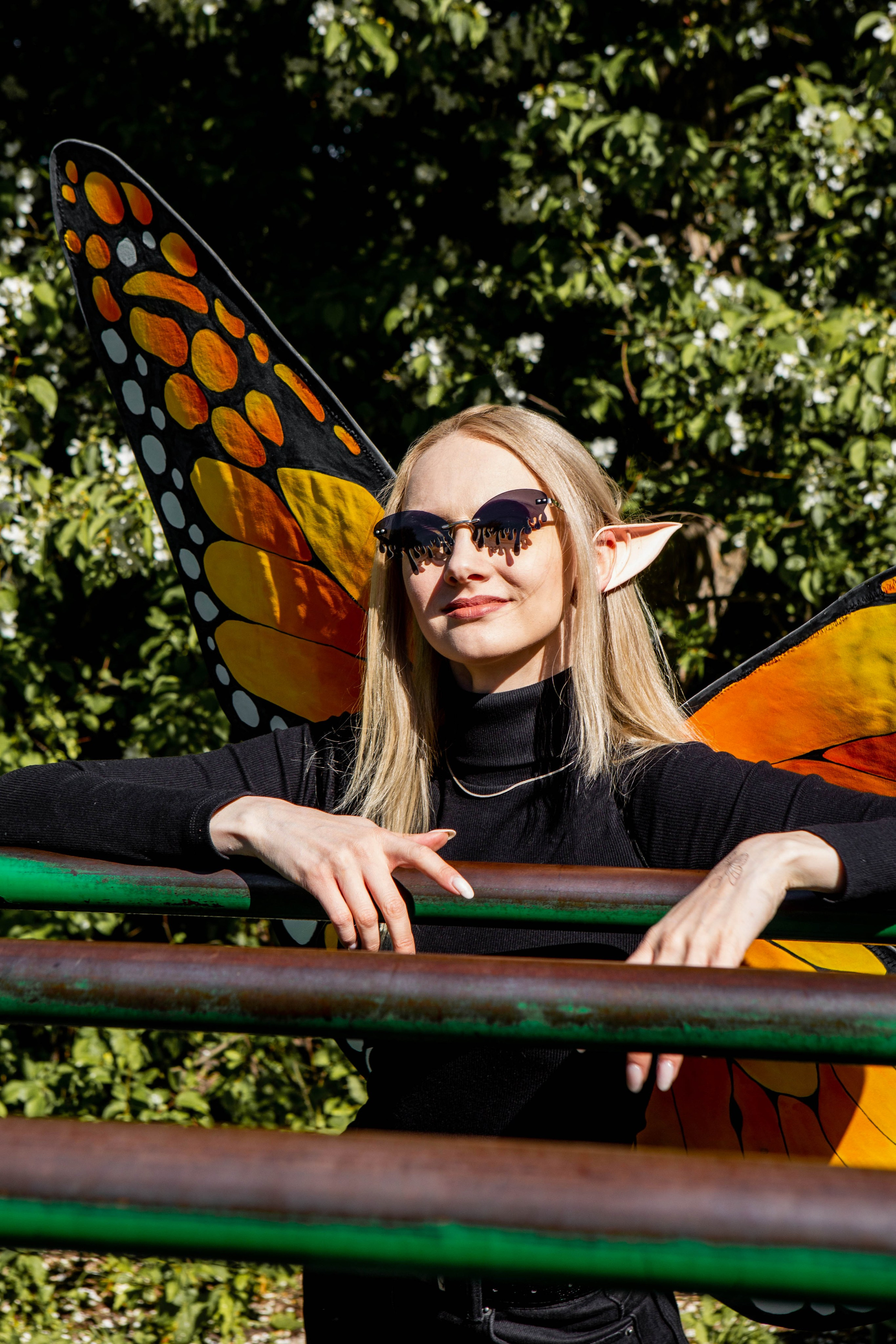 Бабочка. Фотограф Екатерина Голицына