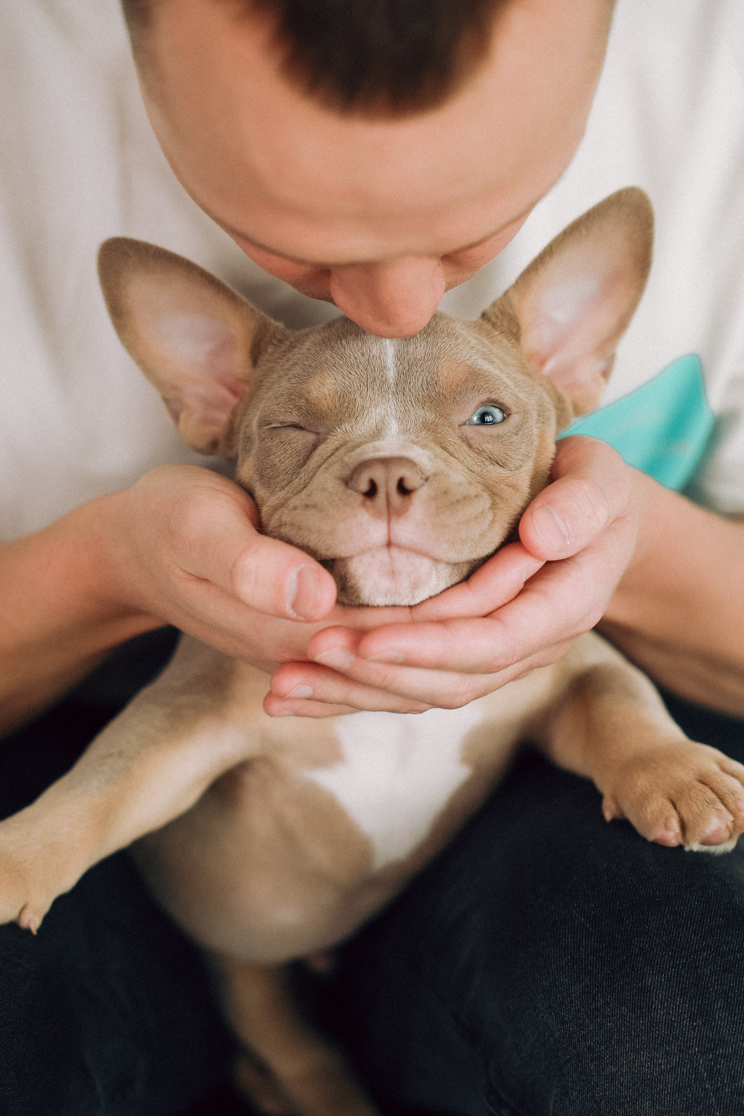Семейная съемка с хвостиком. Фотограф Юлия Герасимова Иркутск