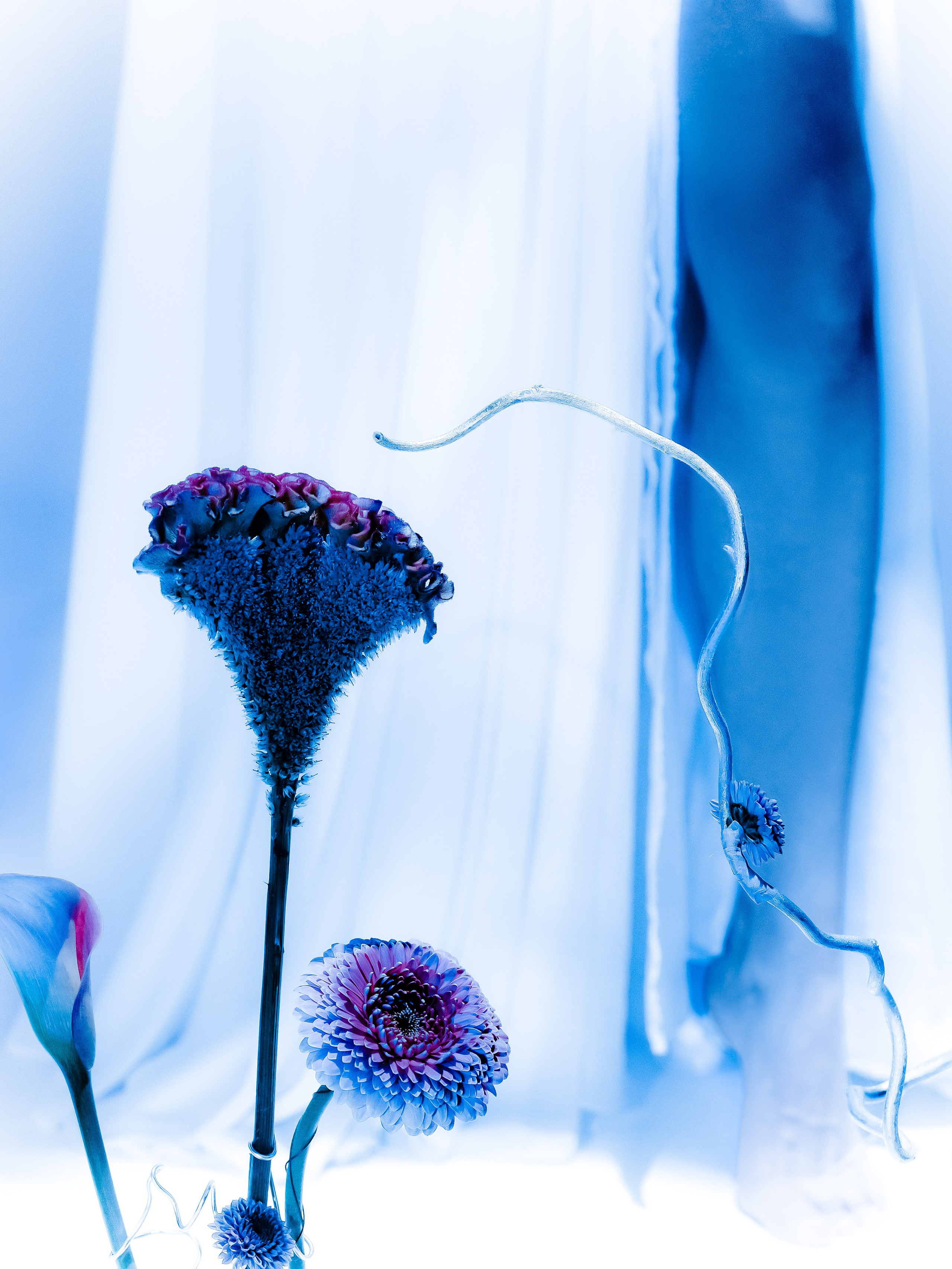 Мастер-класс с сет-дизайном. Фотограф Кристина Берг