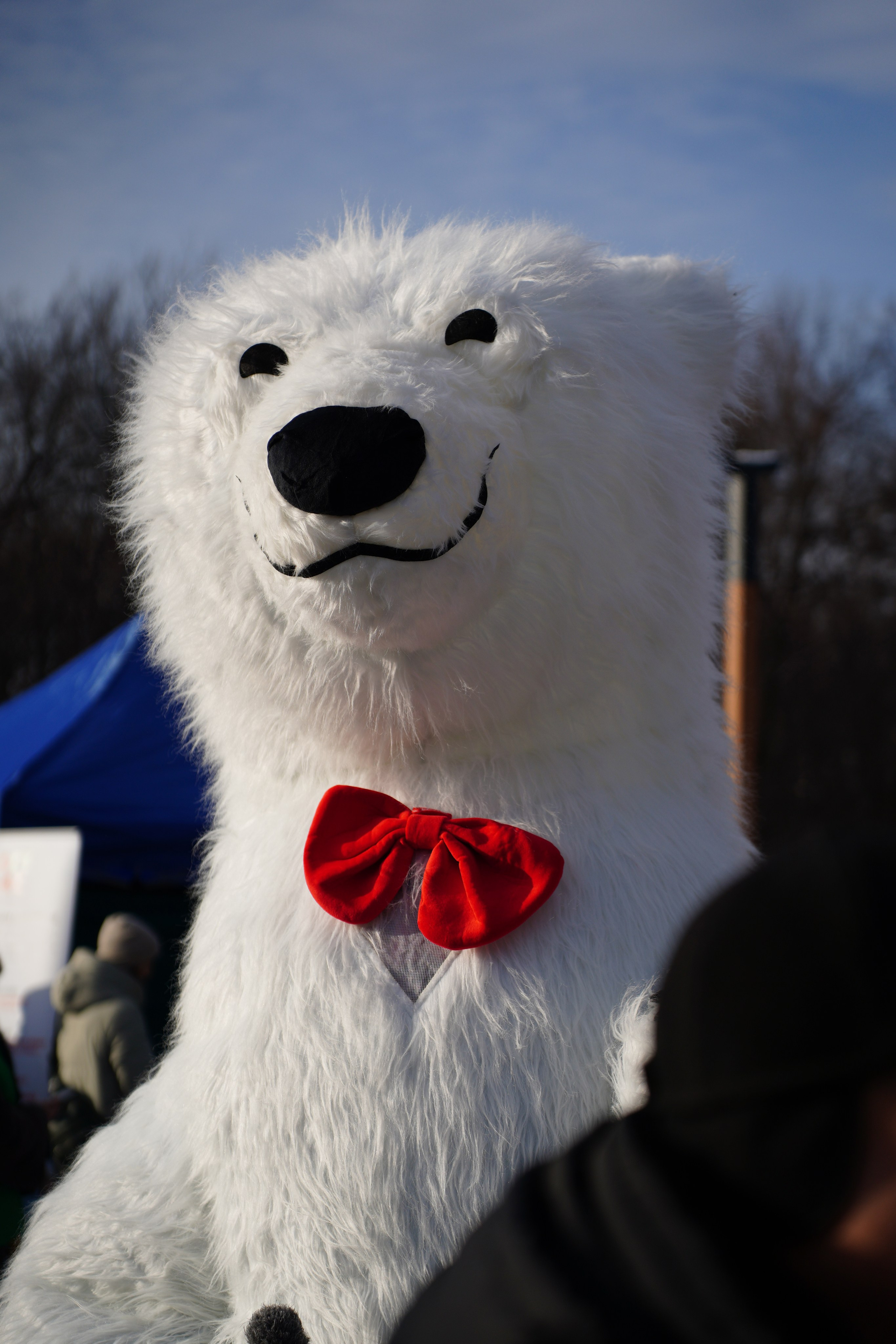 Благотворительная Акция «Ищу Человека». Pupov.png