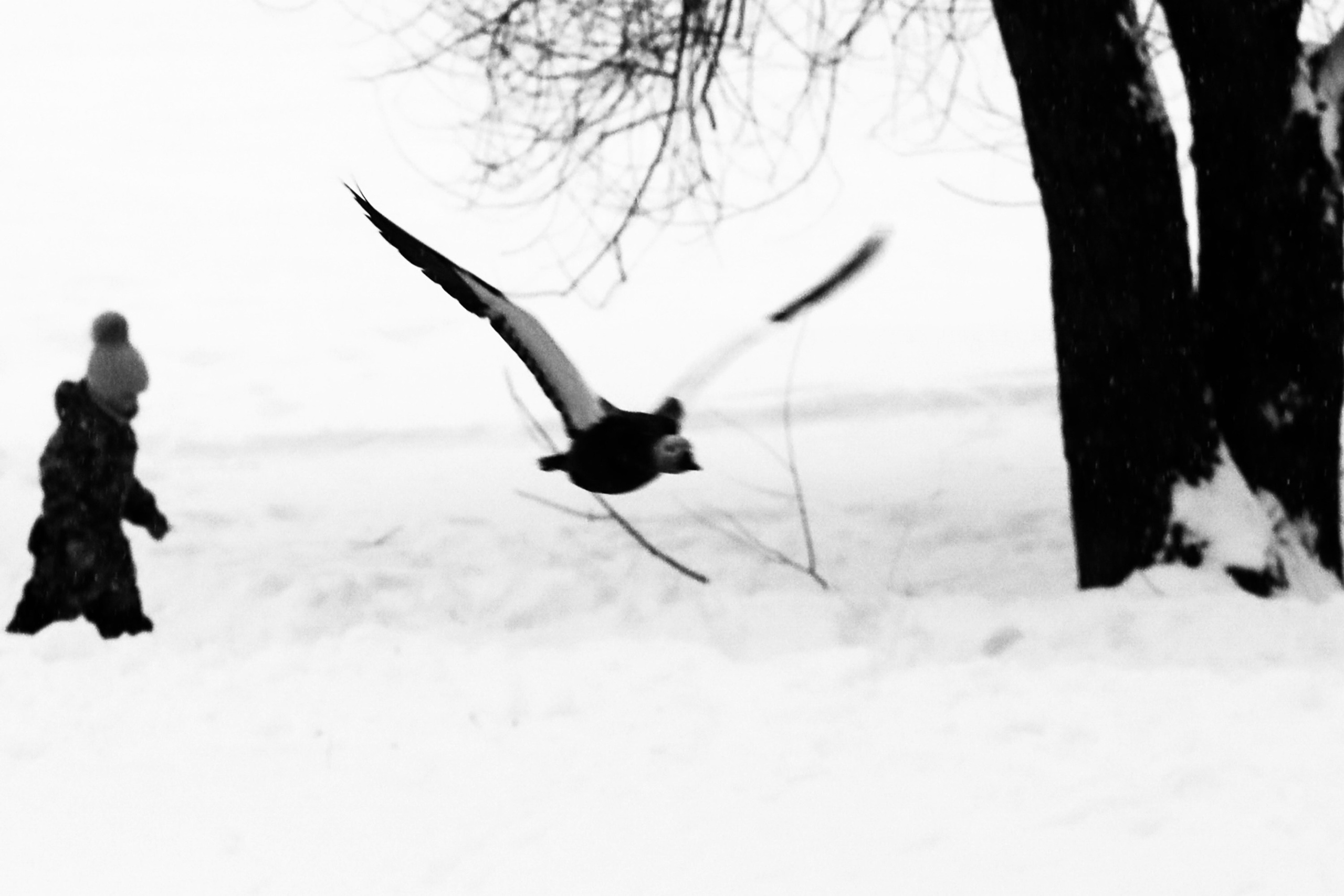Чёрно-белая зима 25-26. Фотосессии и репортаж — Фотограф в Москве — Рина Серёгина
