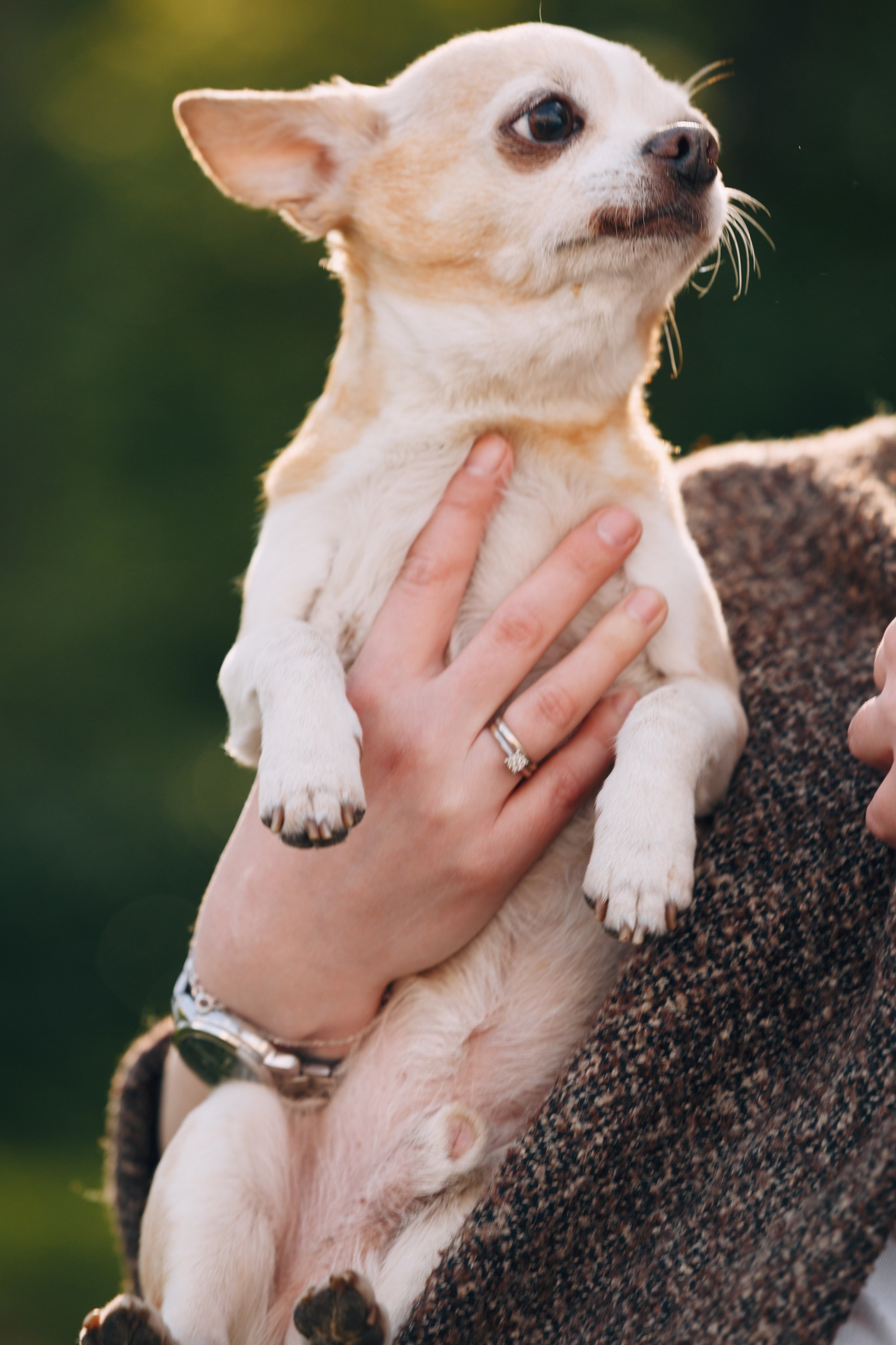 Оля, Патрик, Мейли и Джонни. Фотограф анималист Кристина Карпова, Москва