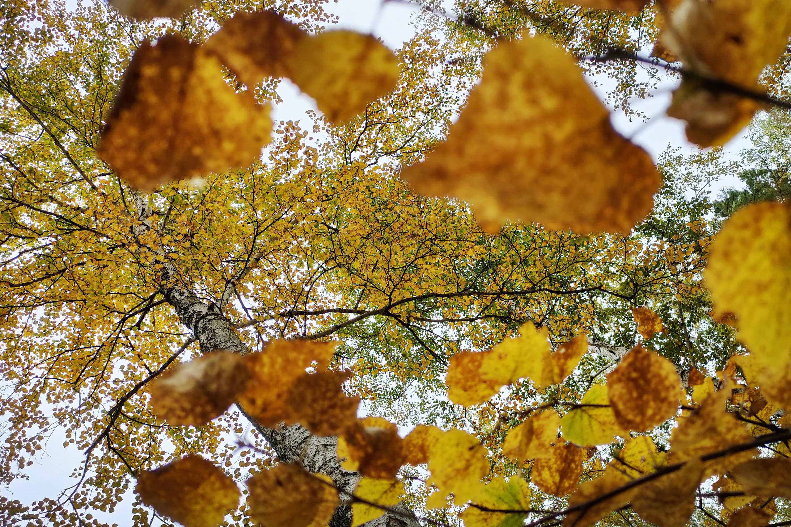 Улицы. Фотографии Марины Бурнашовой