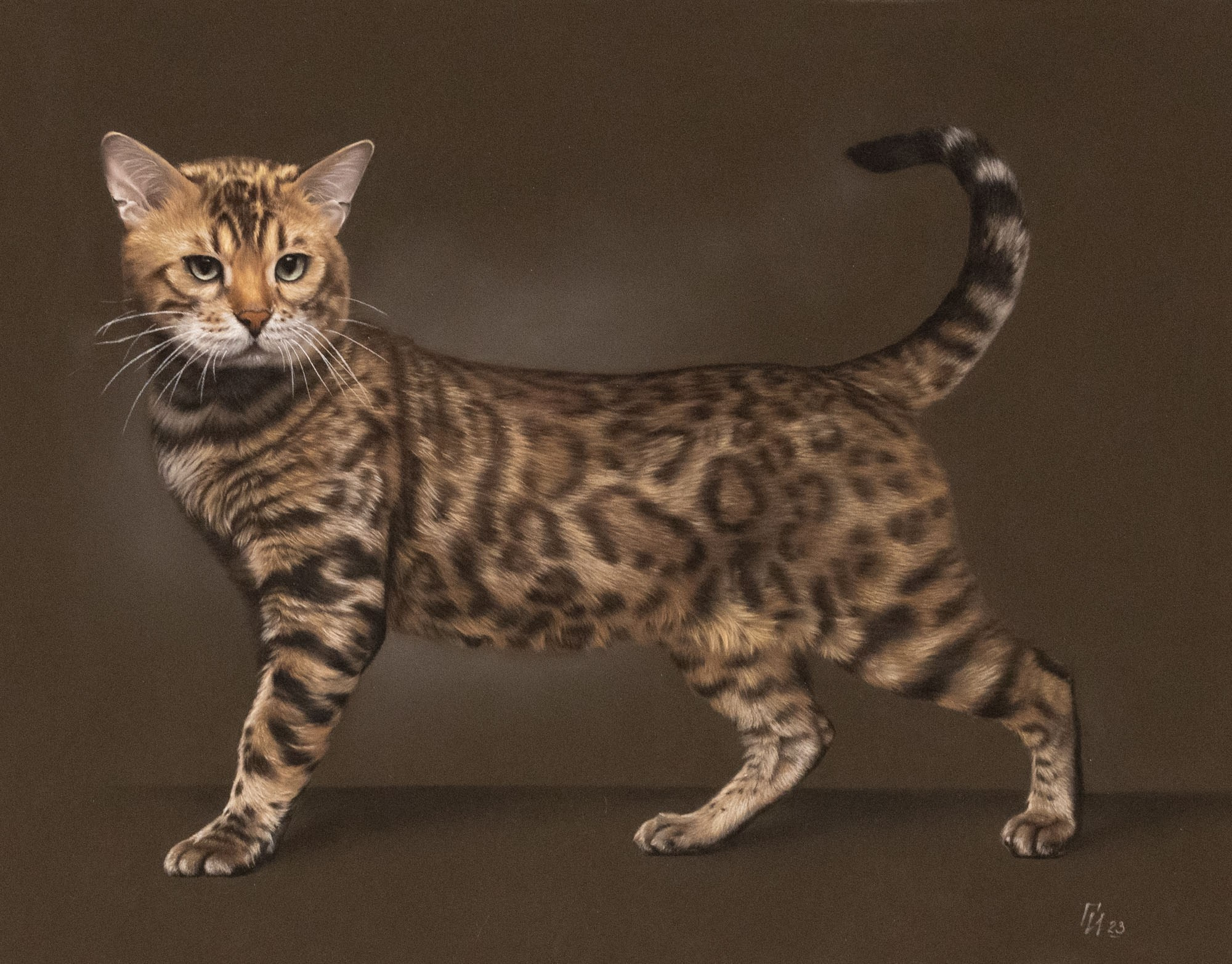 Бенгальский кот. Пастель, 50х40см. Работа по МК.