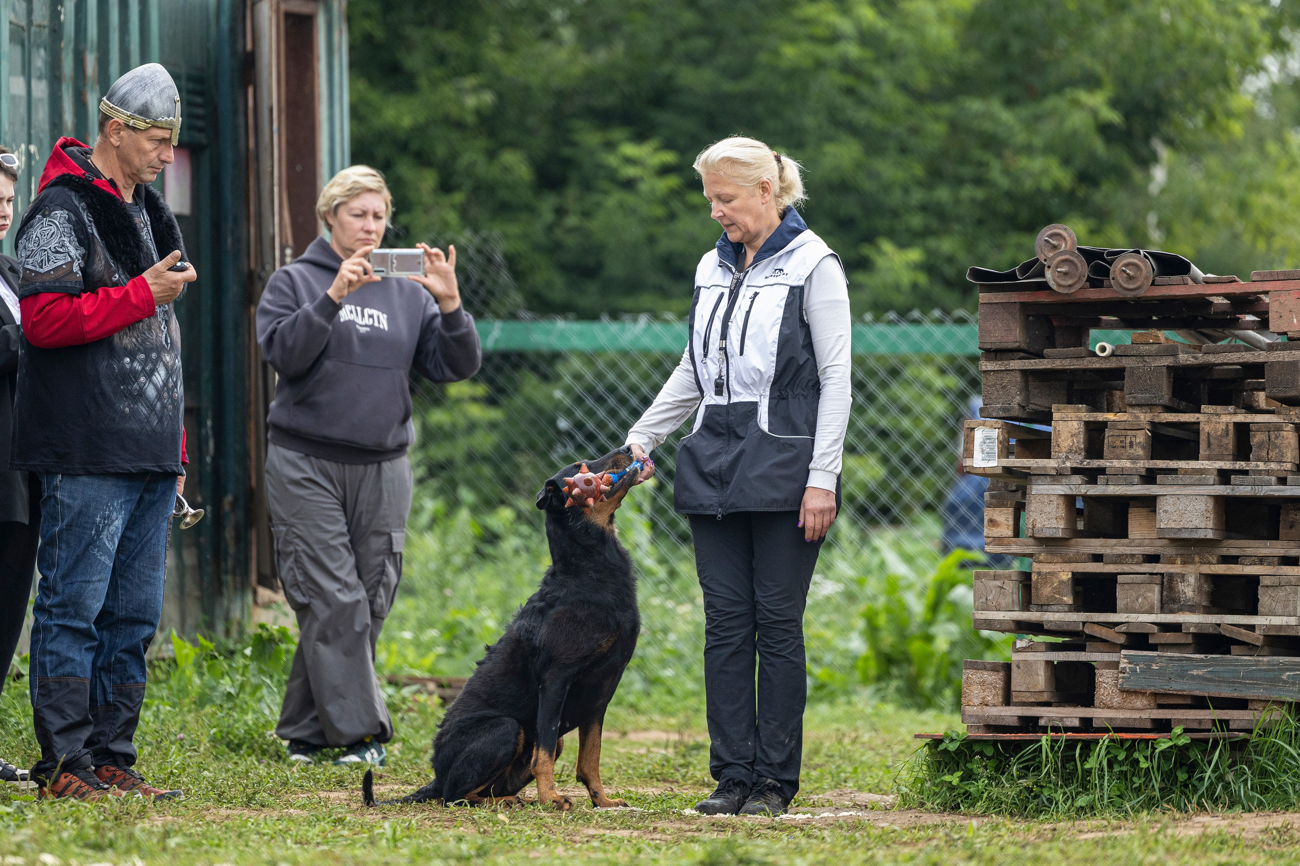 Соревнования по Мондьорингу г. Вологда 10-11.08.2024. Фотограф-анималист Анна Маринич