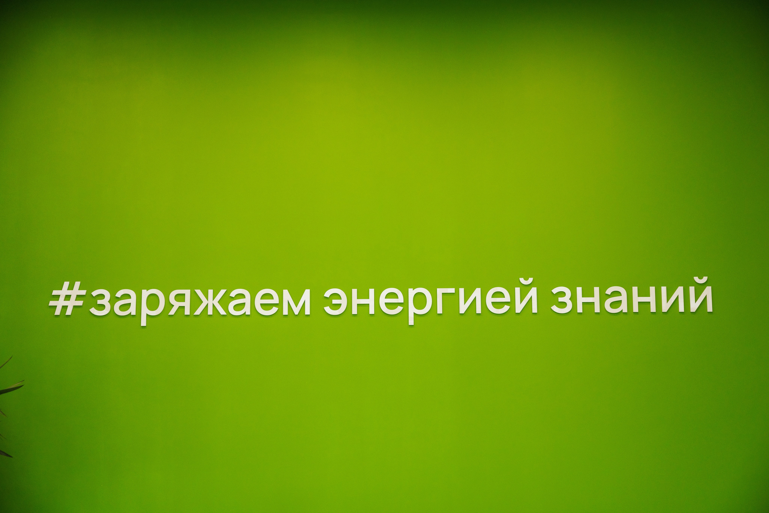 ССК VISION 26. Фотограф Арина Тамочкина