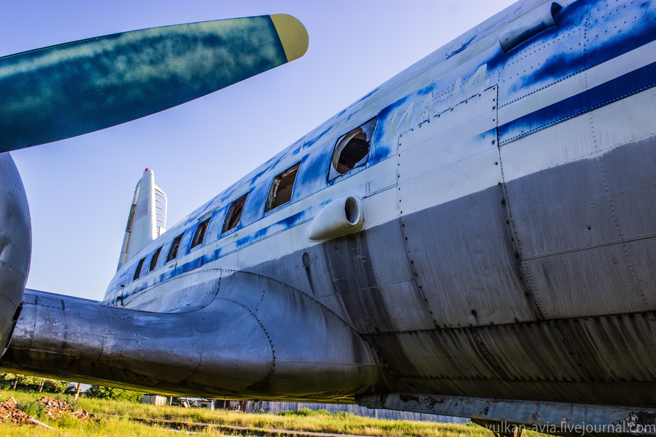 Ил-14 (Пермь, Фролы). Фотоальбом показывающий увлекательный мир авиации и мир медведей Андрея Иванова