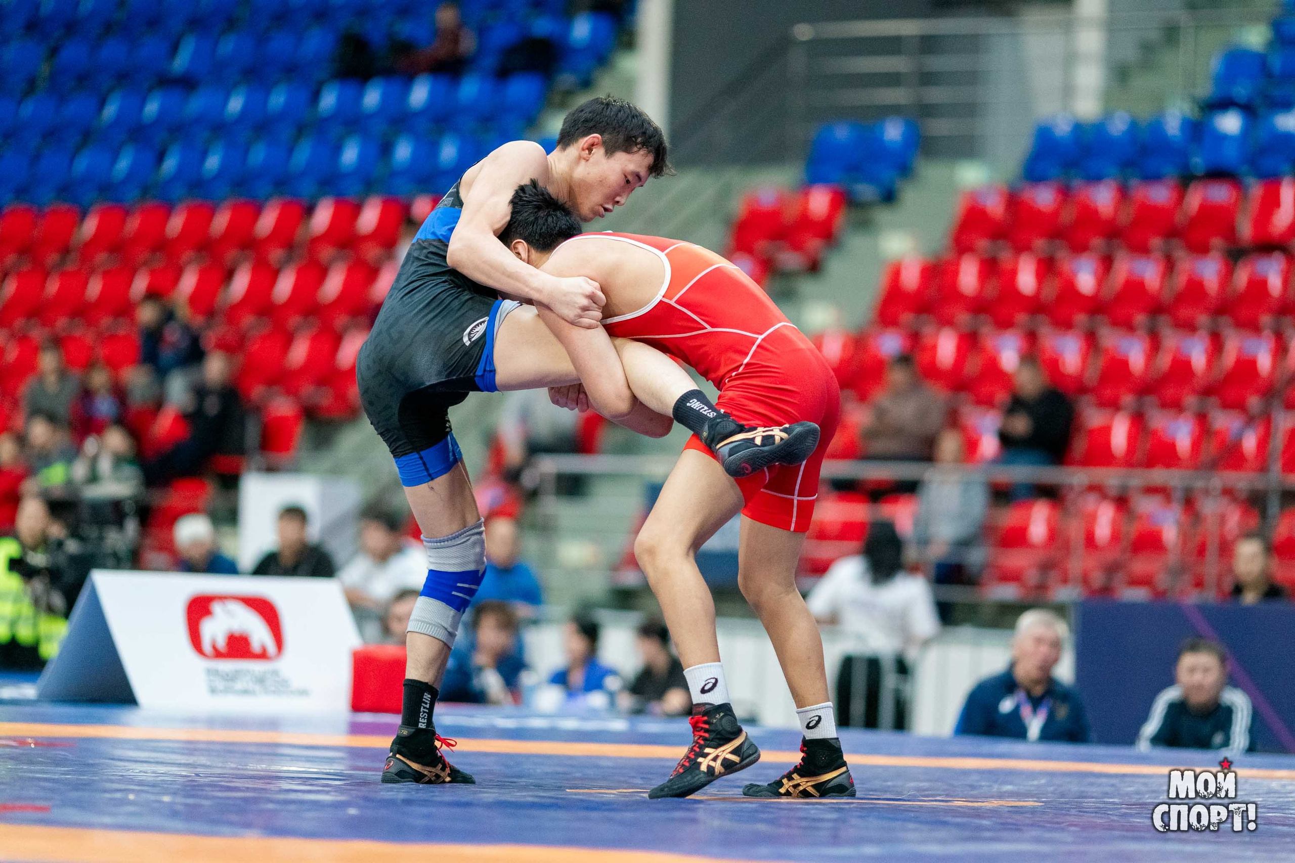 XII Международные соревнования по спортивной борьбе пам. Р. М. Дмитриева. Студия «Мой Спорт!» — все о спорте в Якутии