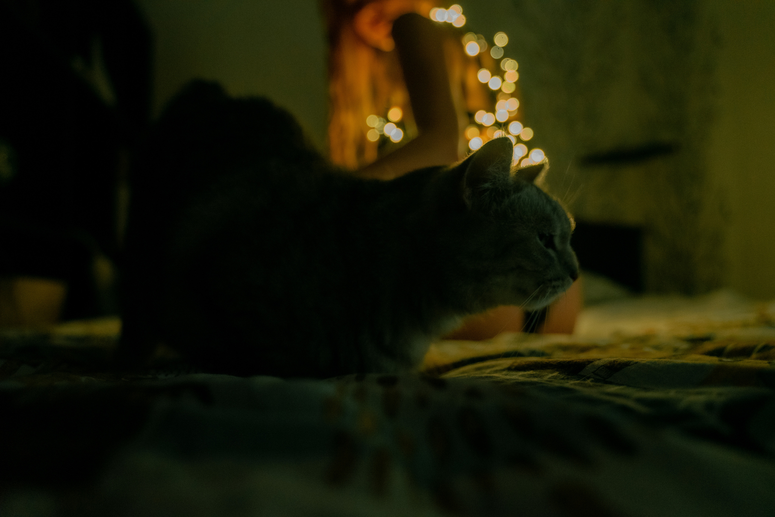 Альбом 4. Портретный и будуарный фотограф в Москве и МО