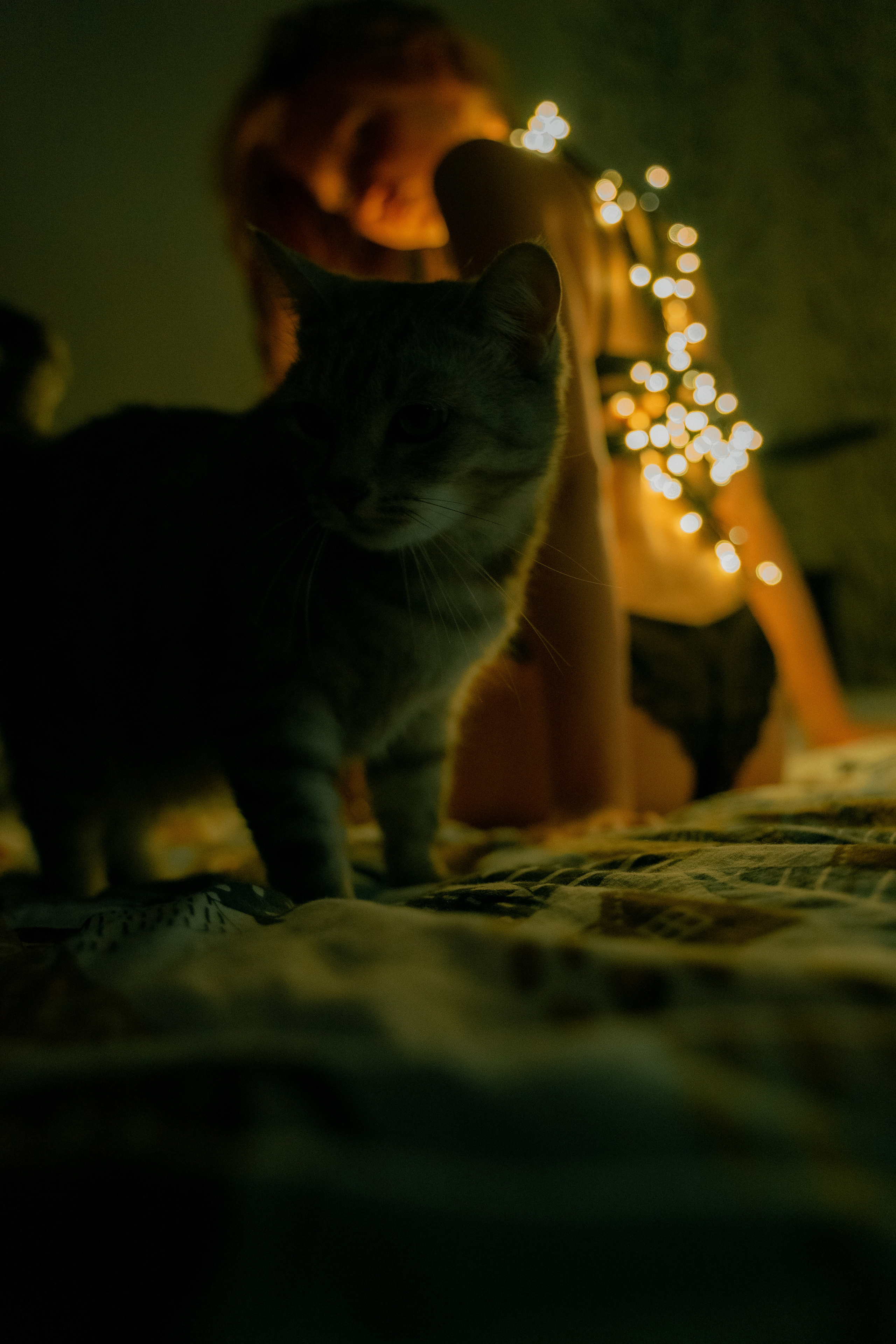 Альбом 4. Портретный и будуарный фотограф в Москве и МО