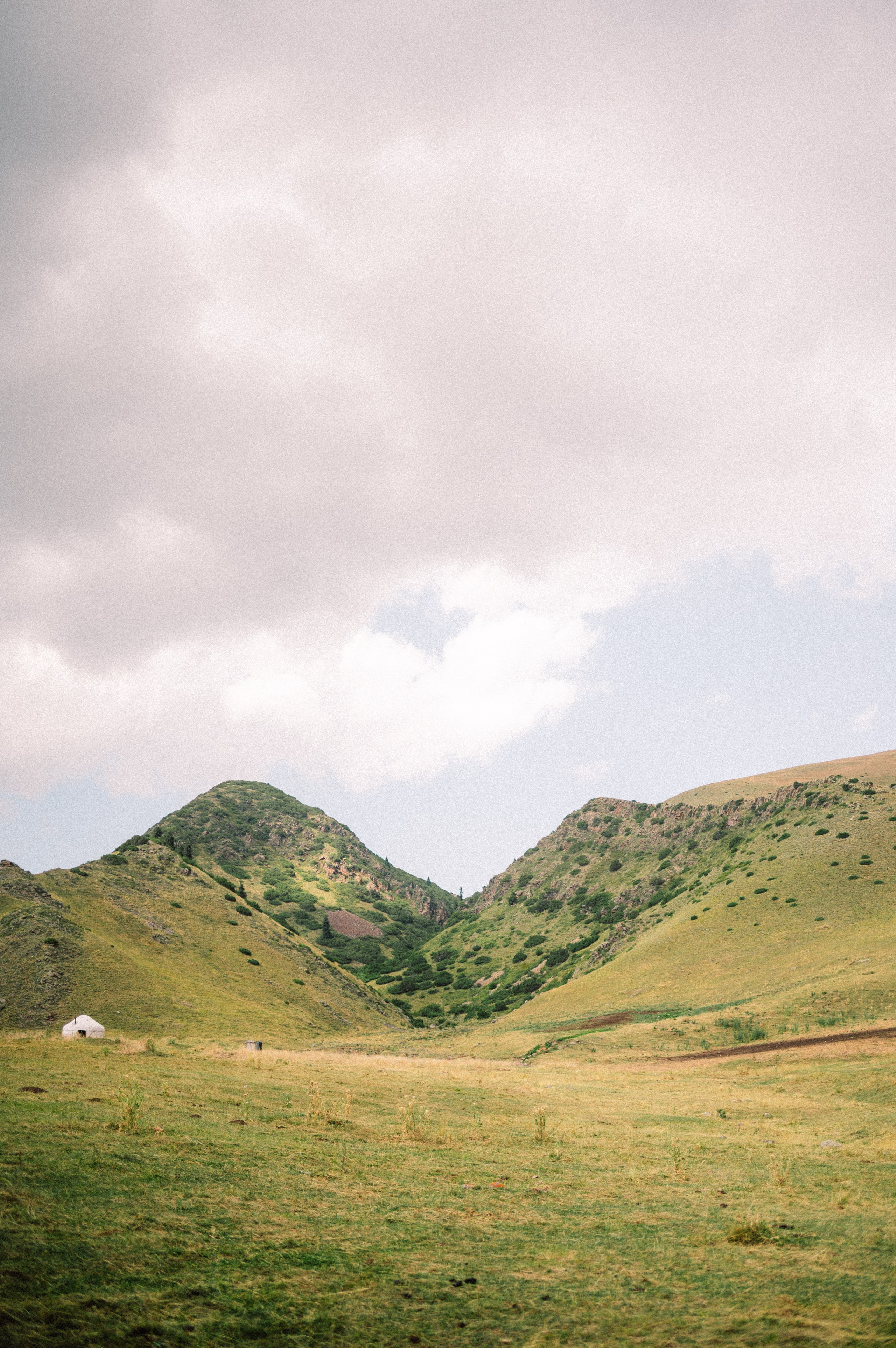 Плато Ассы: июль 2025. Фотограф в Алматы — Дарья Фёдорова