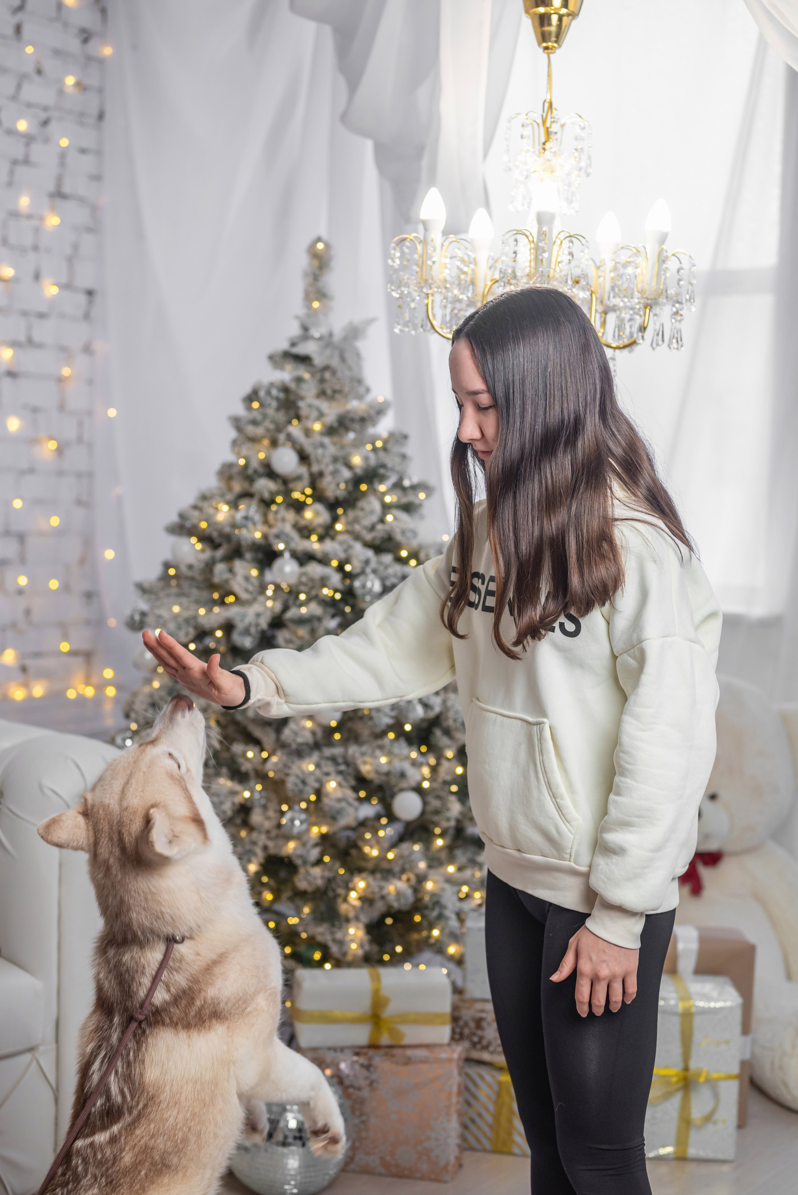 Фотопроект с хаски. Фотограф в городе Салават