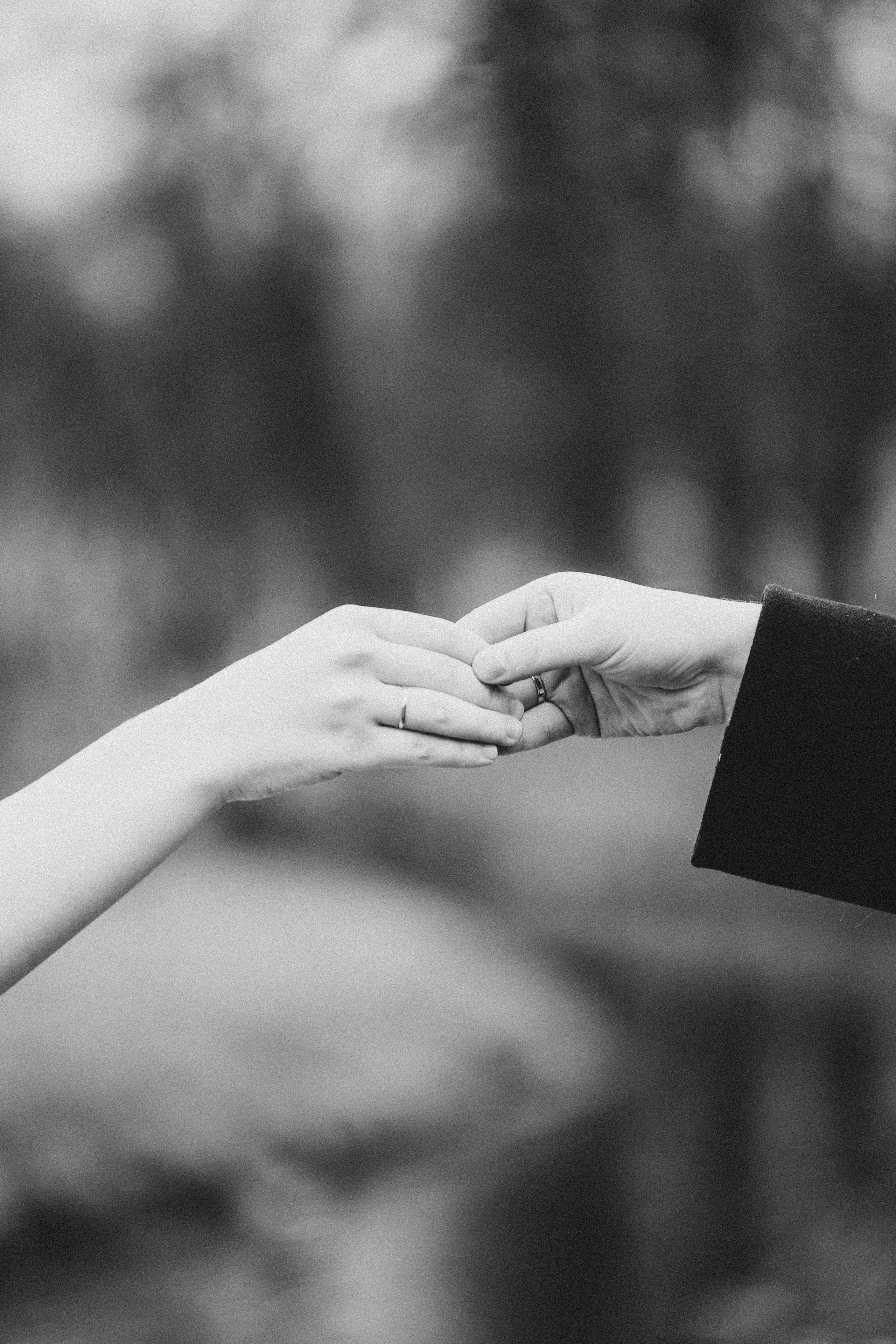 СВАДЕБНАЯ ВО ВТОРОМ ДВОРЦЕ И ПРОГУЛКА В ТАВРИЧЕСКОМ САДУ ЧБ. Профессиональный фотограф, Санкт-Петербург — Виктория Богомолова