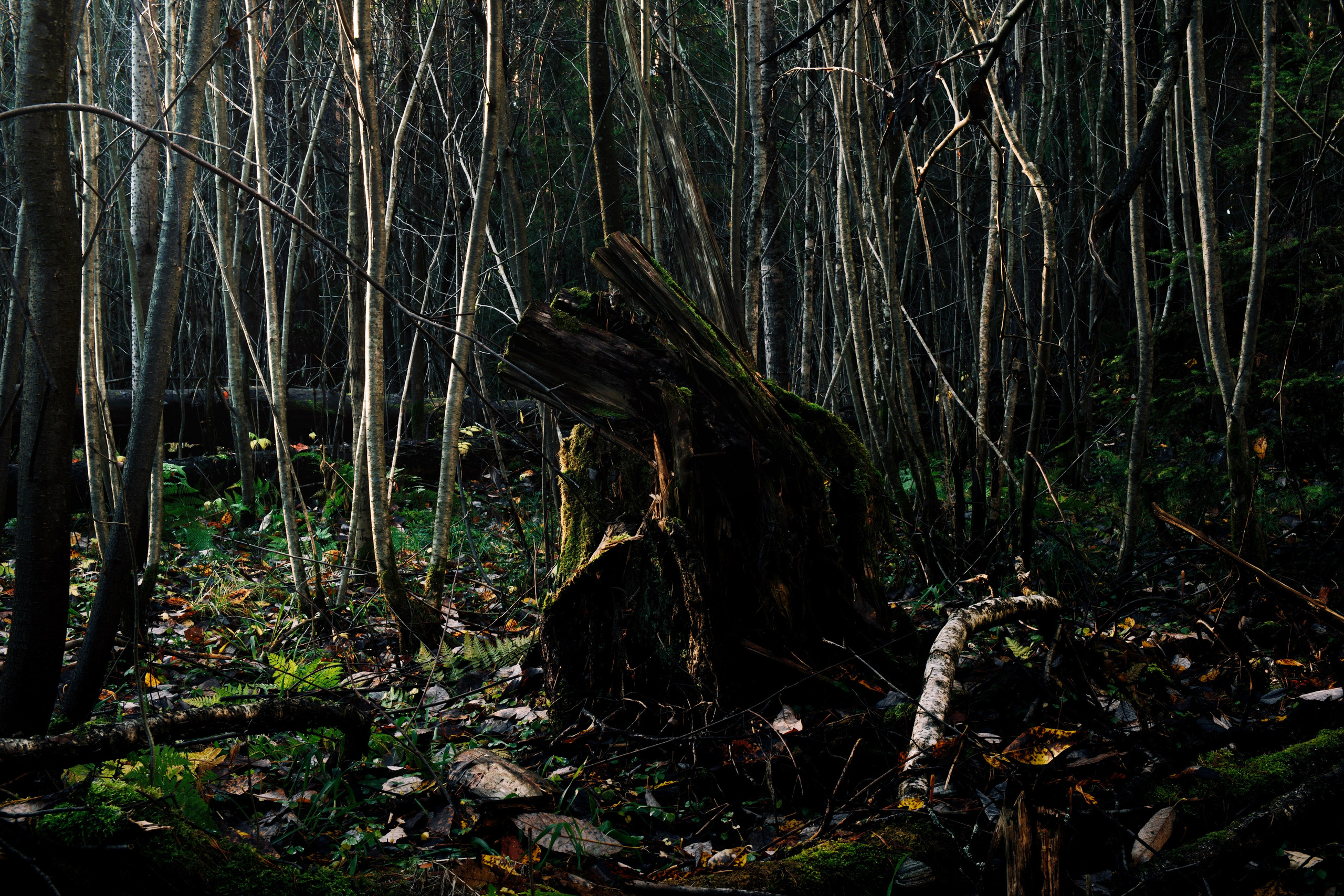 Пейзажи. Фотограф-любитель из Кирова Андрей Погребняк