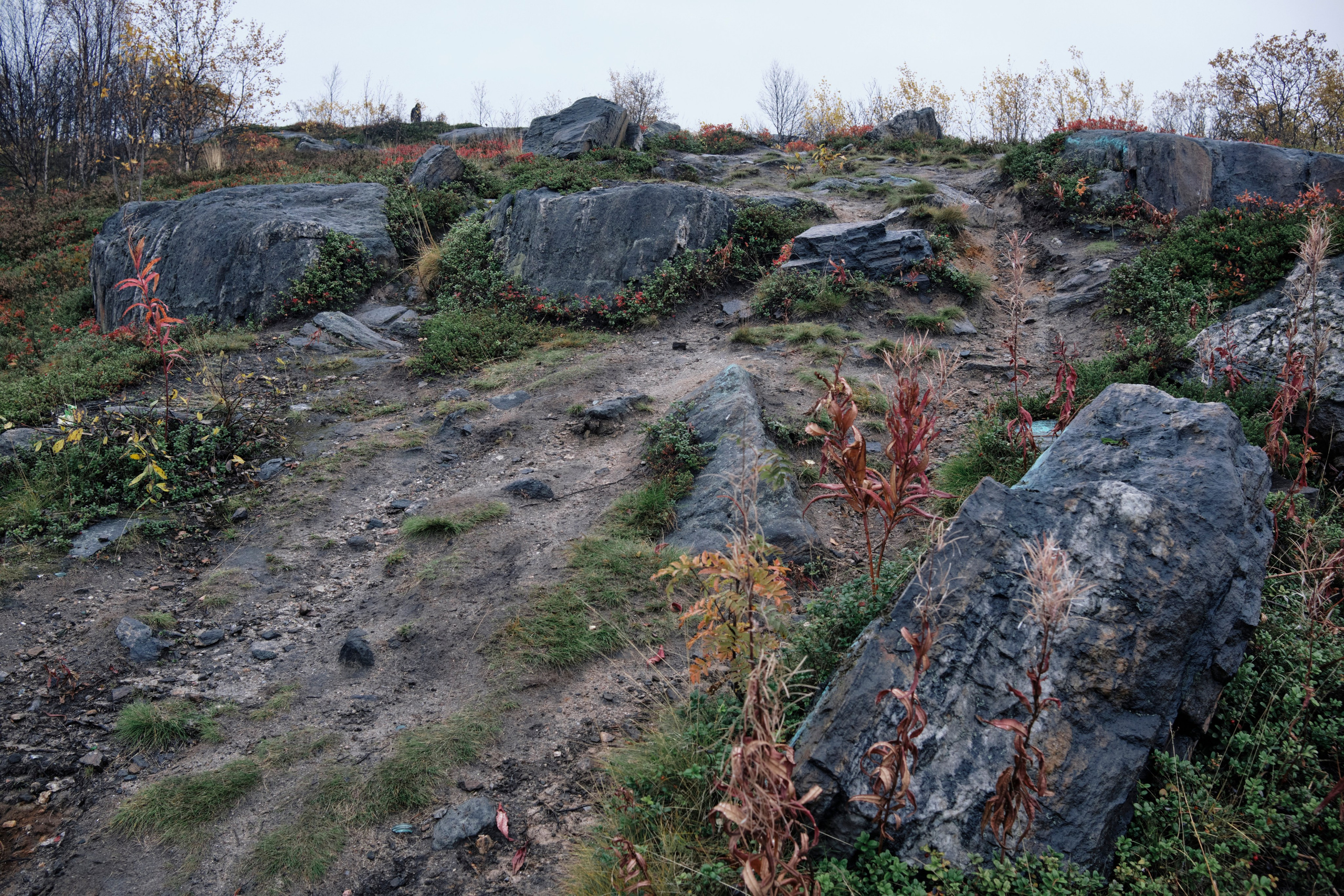 Поездка в Мурманск. Заметки и фото. Елена Павленко. Фотограф. Москва