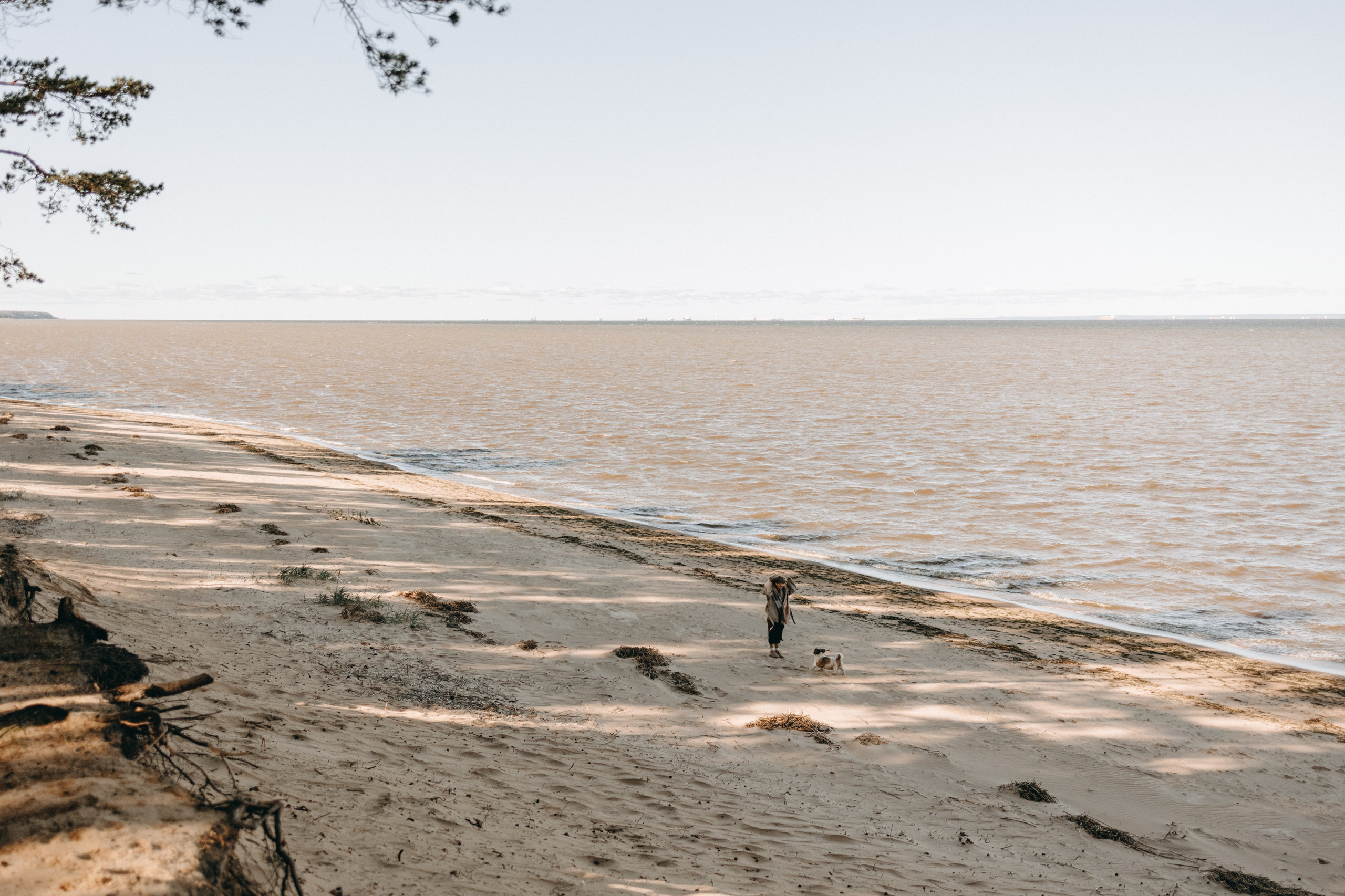 Настя и Франт. Фотограф — Анималист | Санкт-Петербург