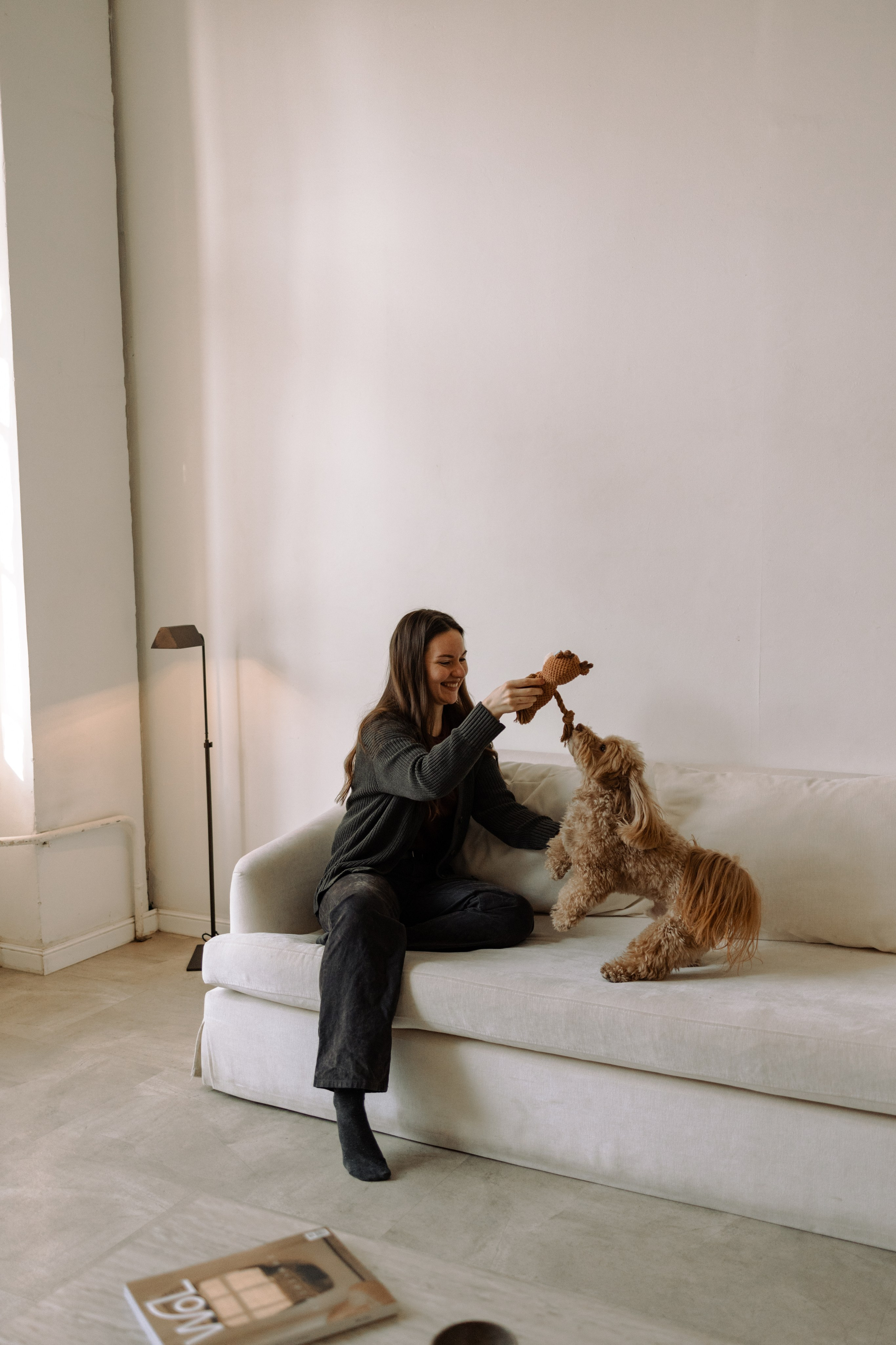 Шкипер и его семья. Фотограф — Анималист | Санкт-Петербург