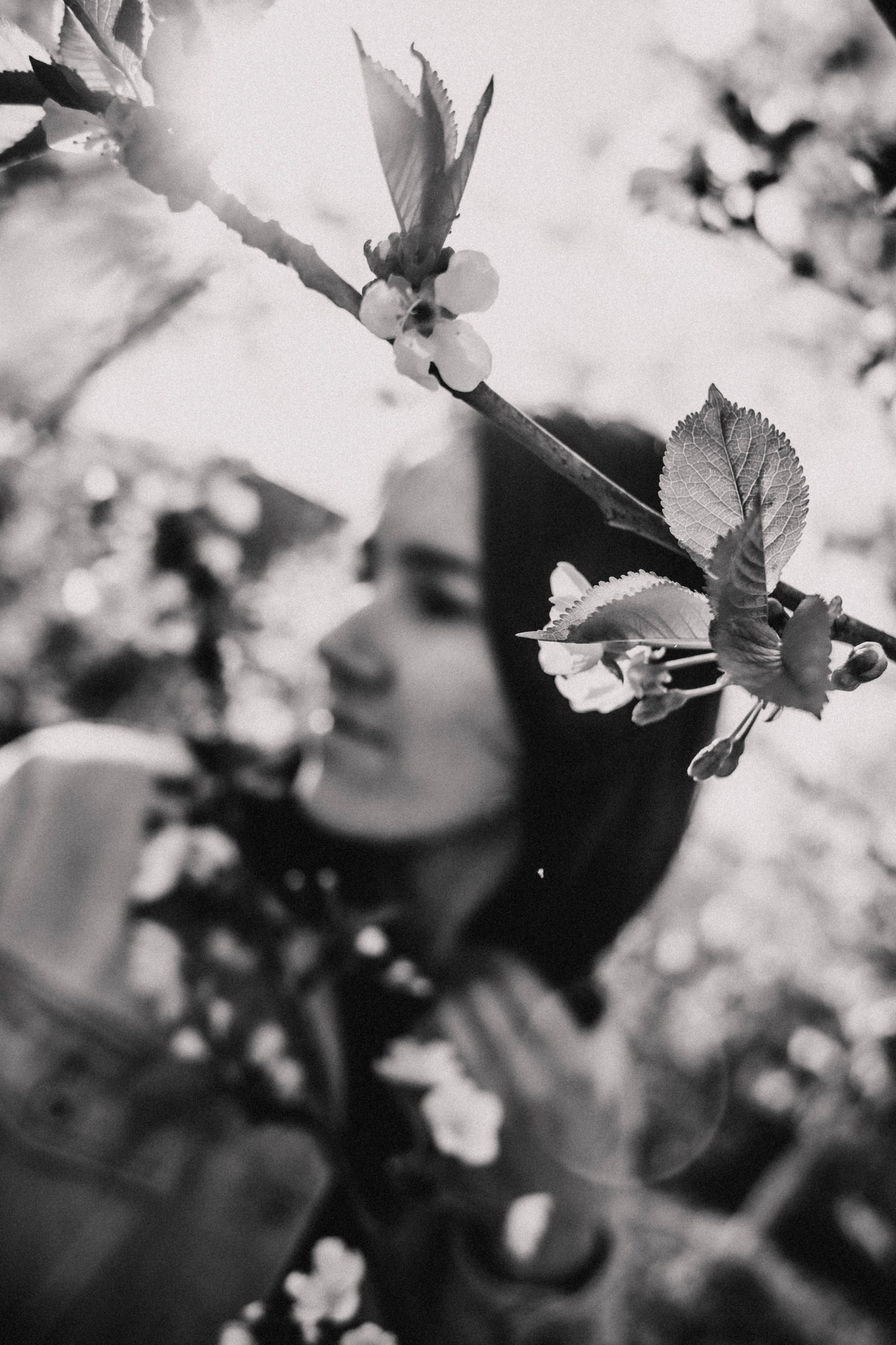 Таня. Весна. Цветы. Фотограф в Нижнем Новгороде