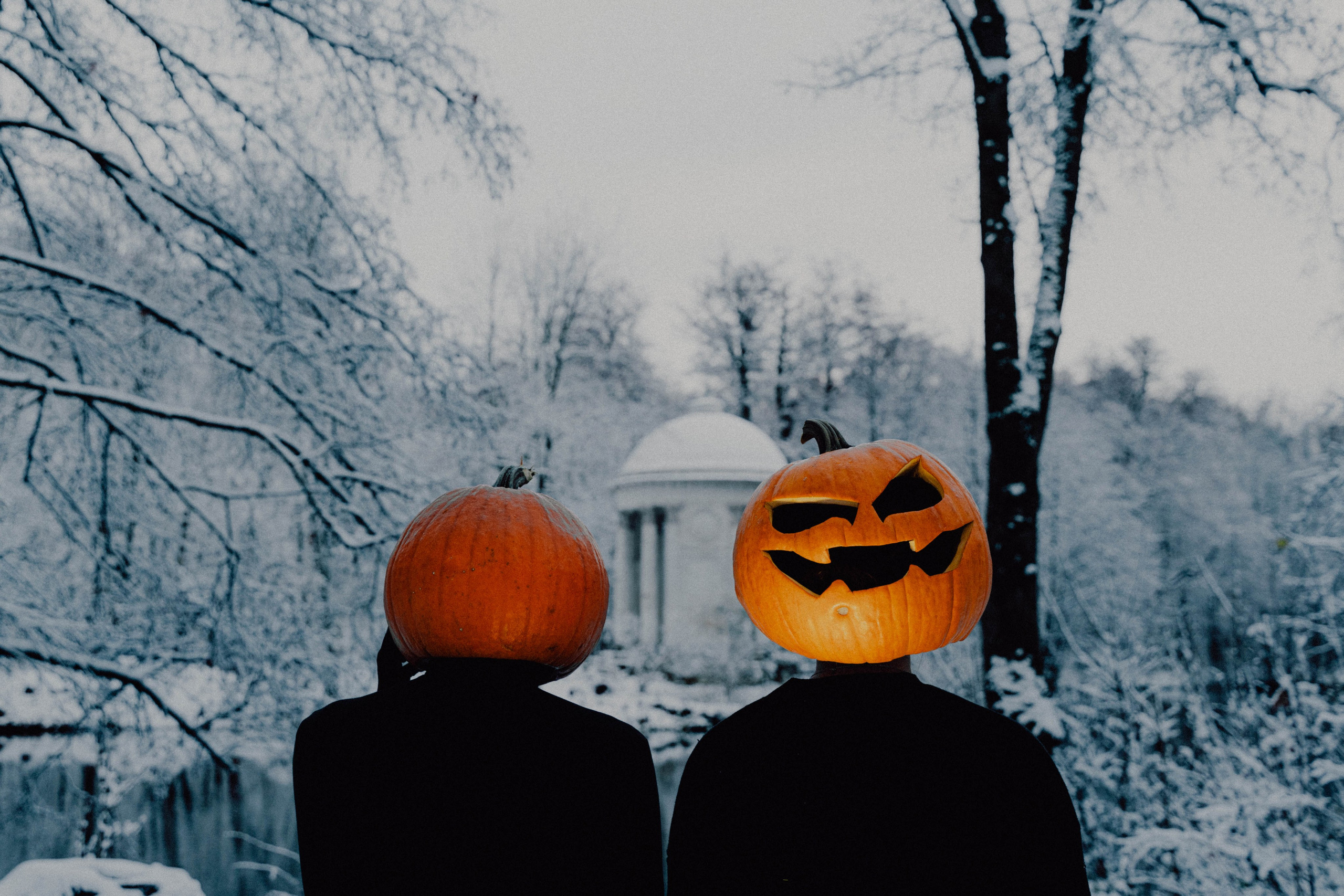 Pumpkin spice. Портретный фотограф в Москве Эмиль Халиков