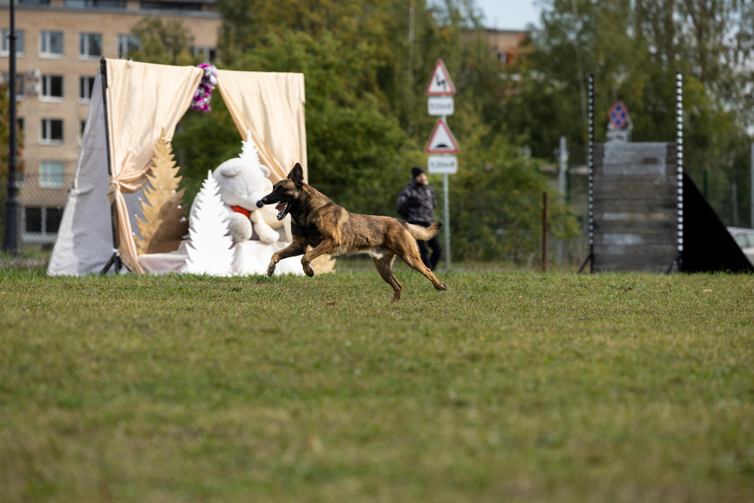 Испытания по Мондьорингу г. Пушкин. Фотограф-анималист Анна Маринич