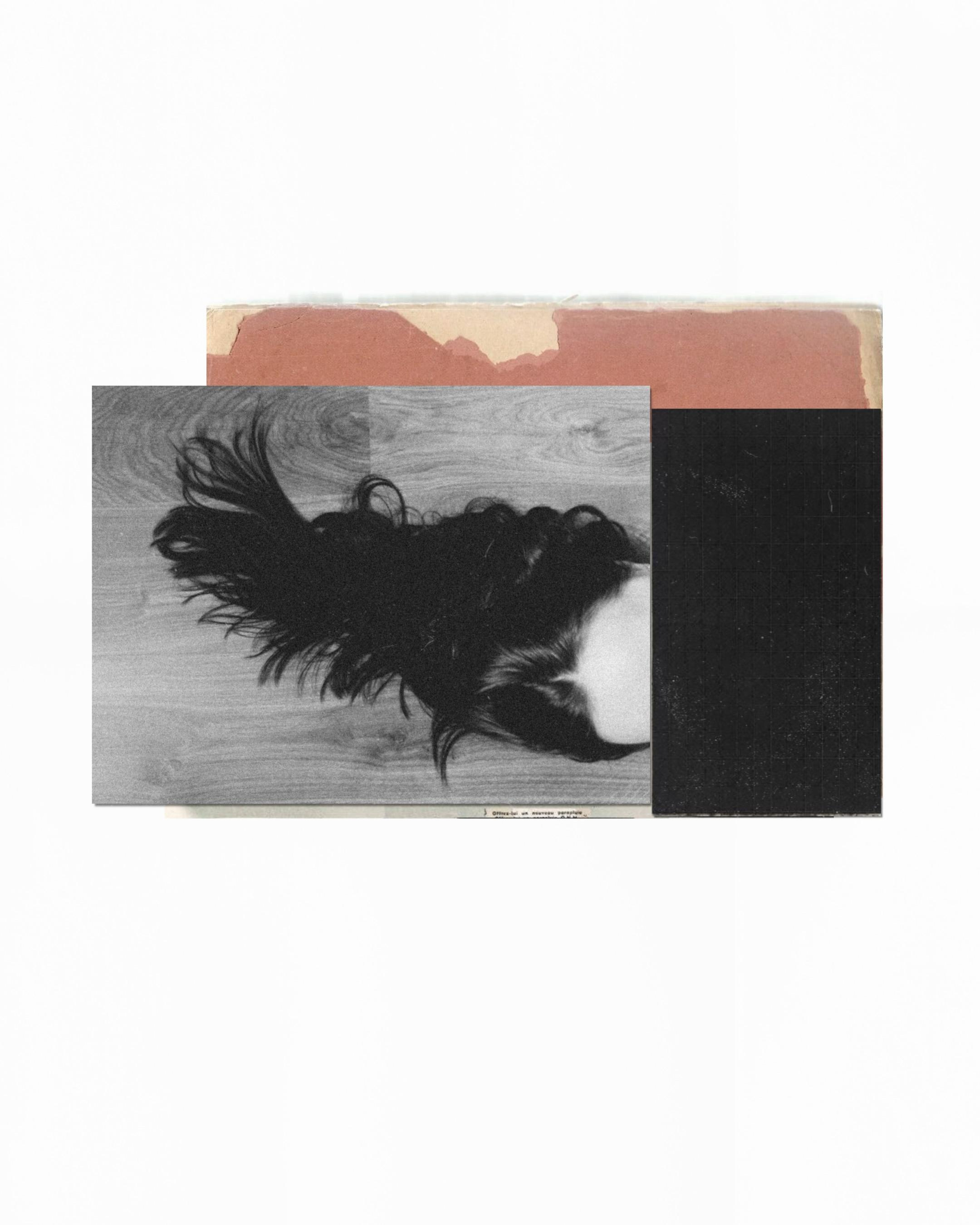 STATES. Маргарита Логай. Фотограф и режиссер в Санкт-Петербурге, Москве, Сочи