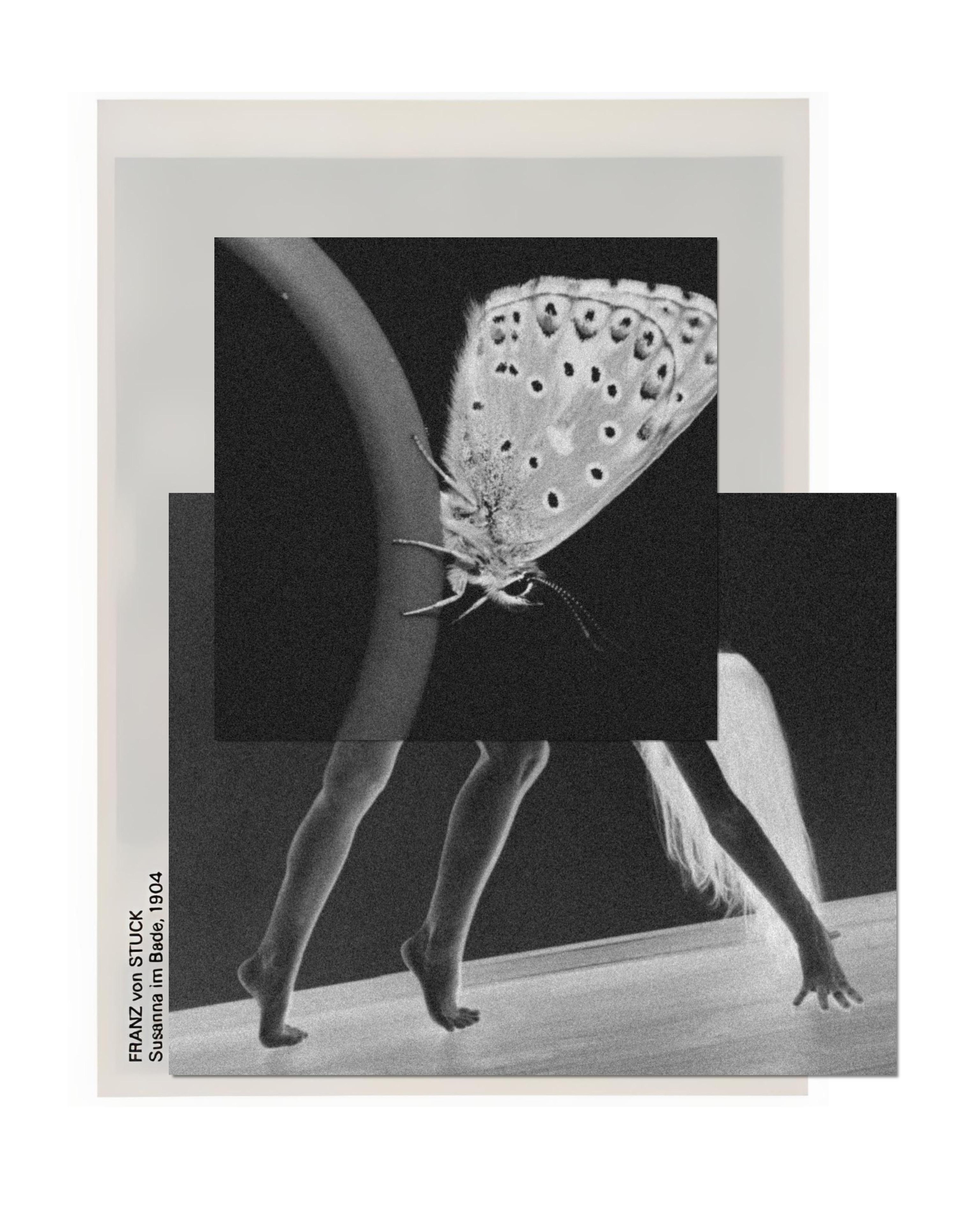 STATES. Маргарита Логай. Фотограф и режиссер в Санкт-Петербурге, Москве, Сочи