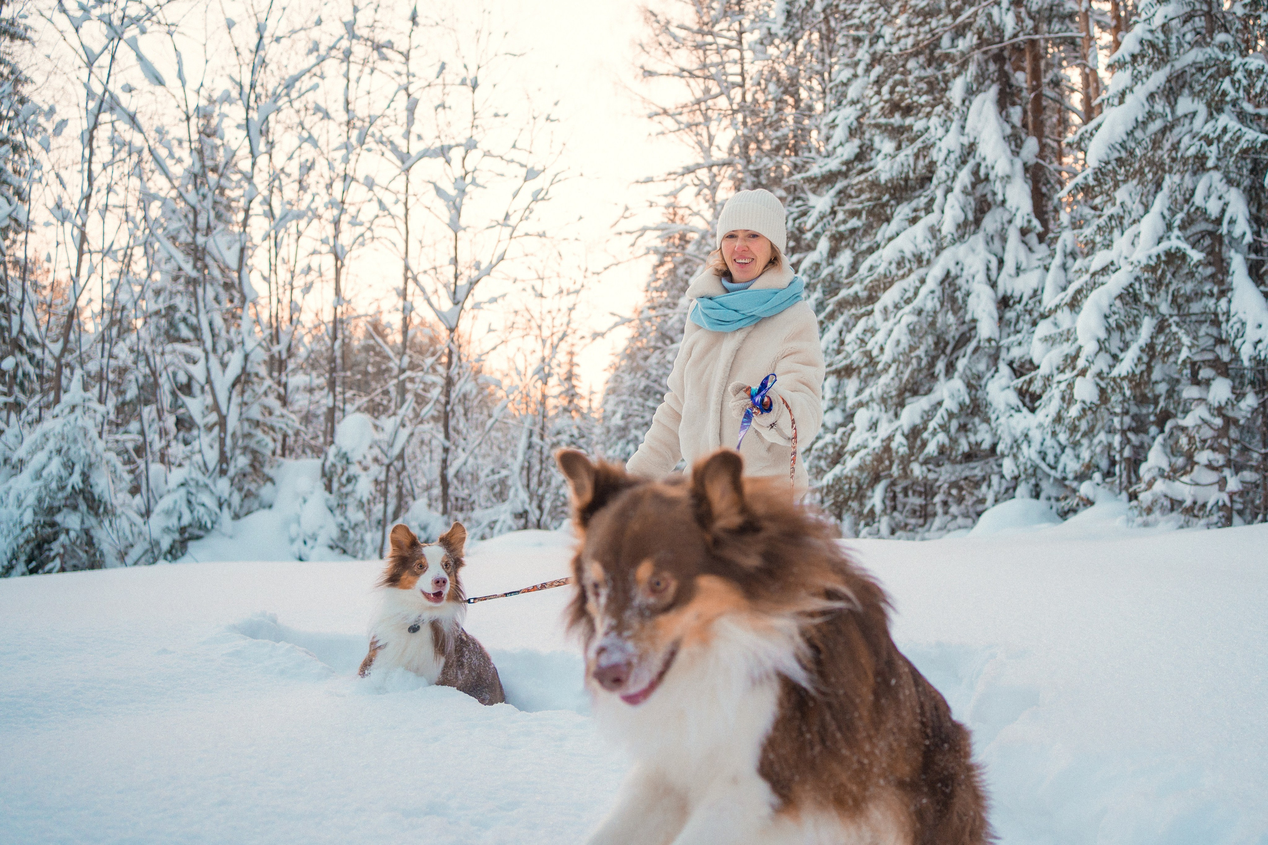 Айла и Харли. Фотограф-анималист Анастасия Большакова