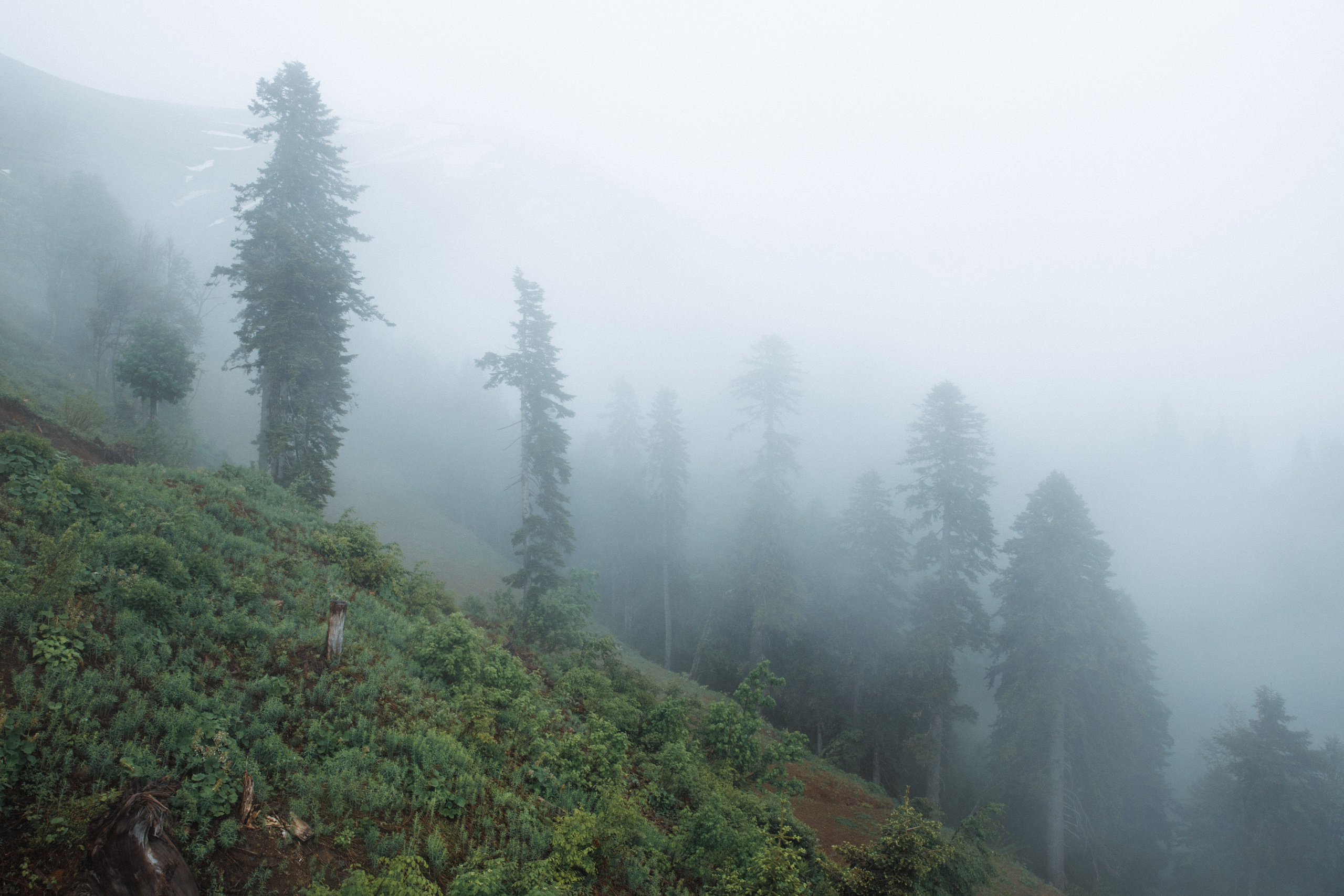 Nature. Артем Корнев Фотограф