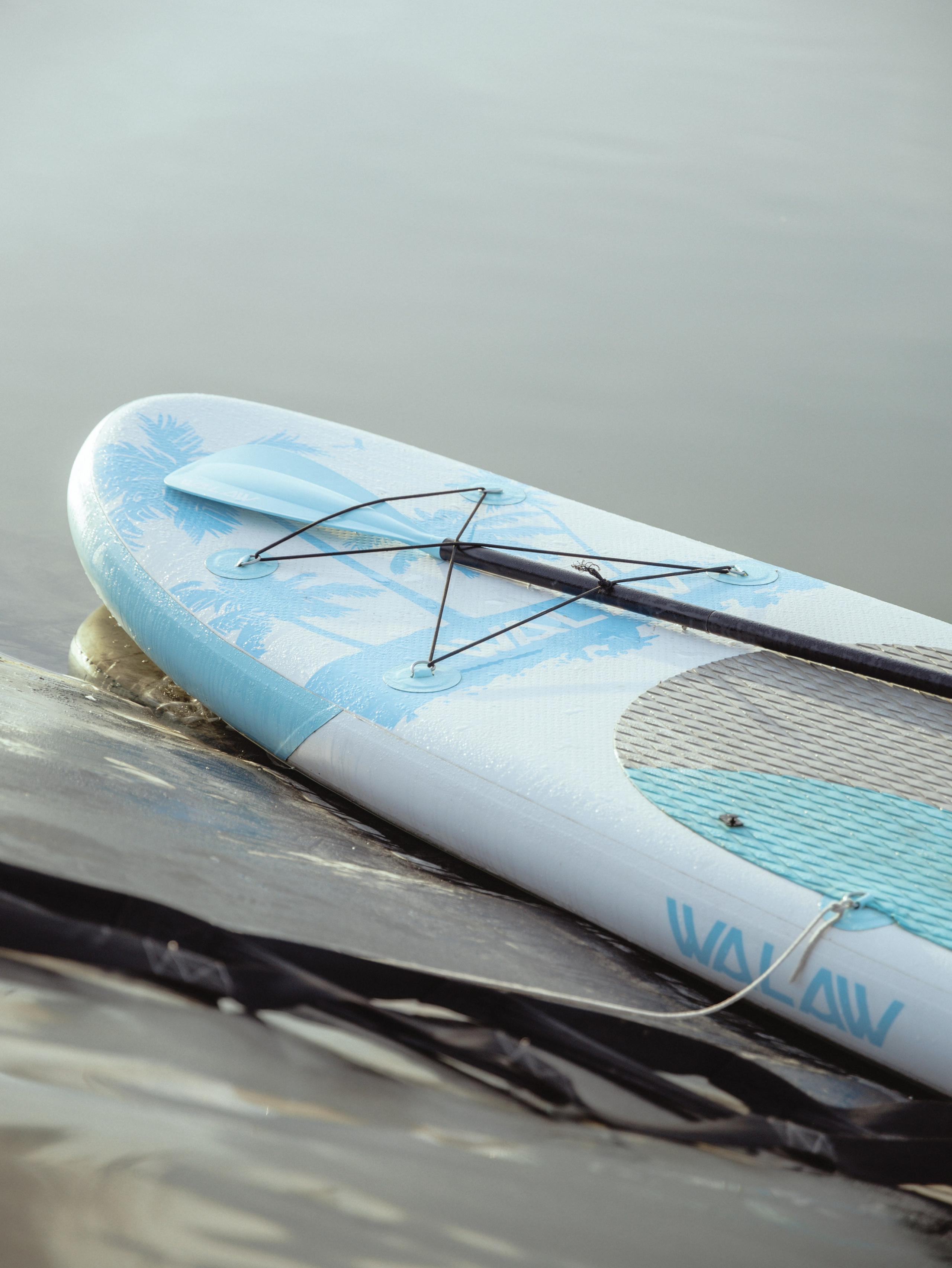 Domik в саду. Артем Корнев Фотограф