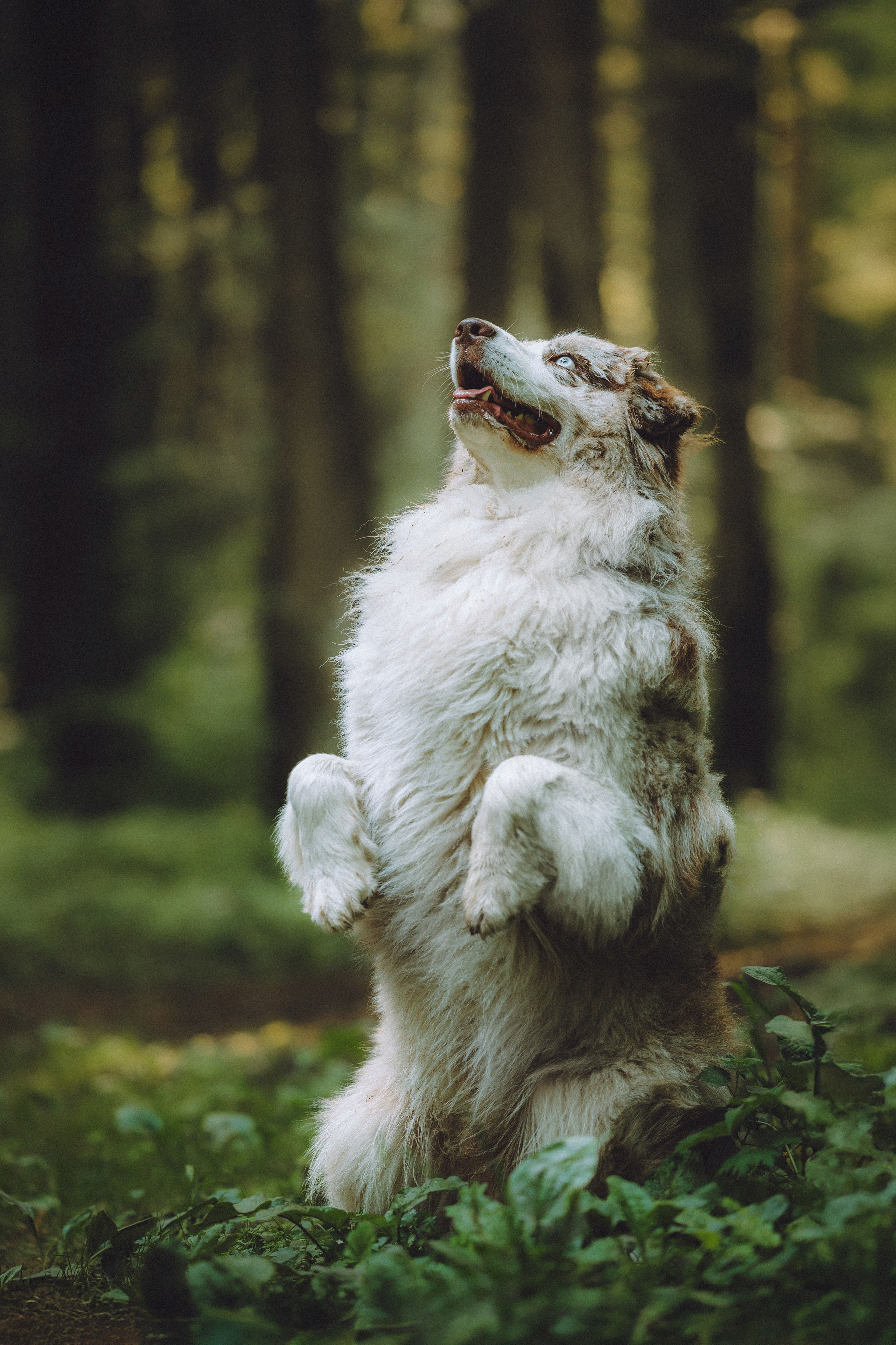 Катя, Андрей, Гектор, Ричи, Тортик и Трой