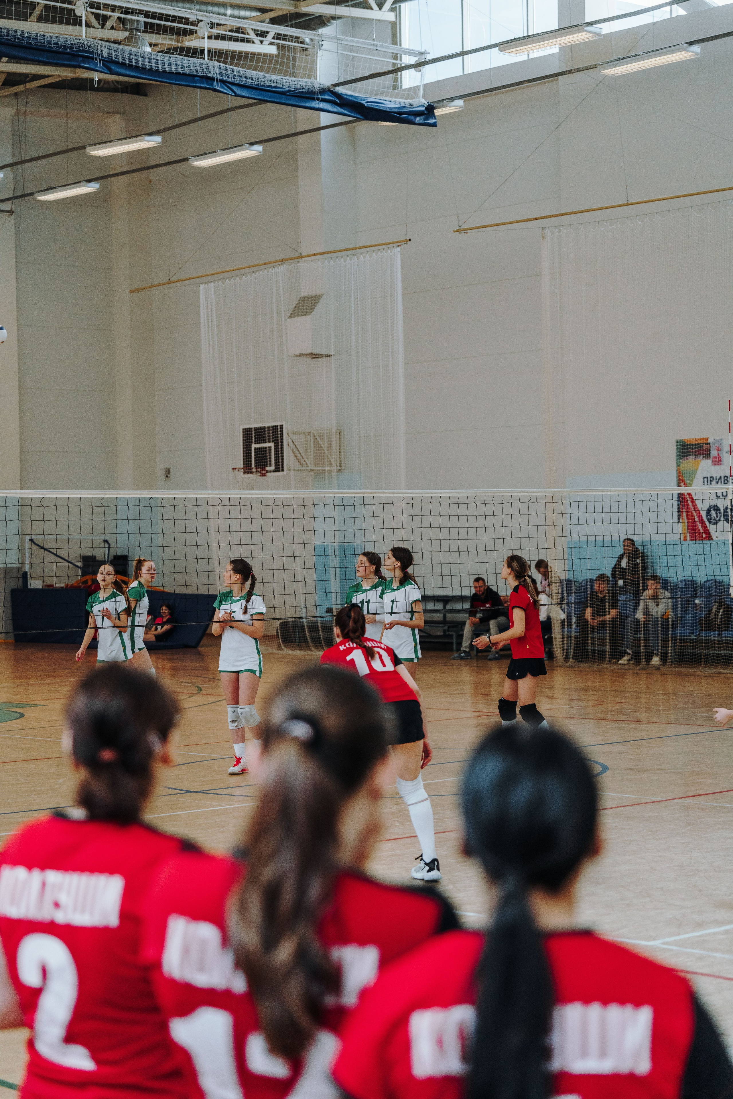 Волейбол торус. Фотограф-анималист в Санкт-Петербурге