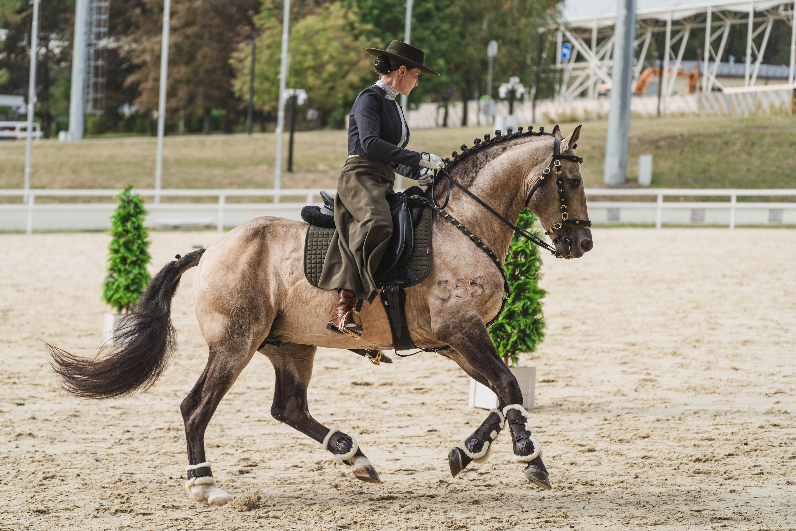 Мастер-класс по рабочей выездке. Фотограф в Москве Ленарская Дарья