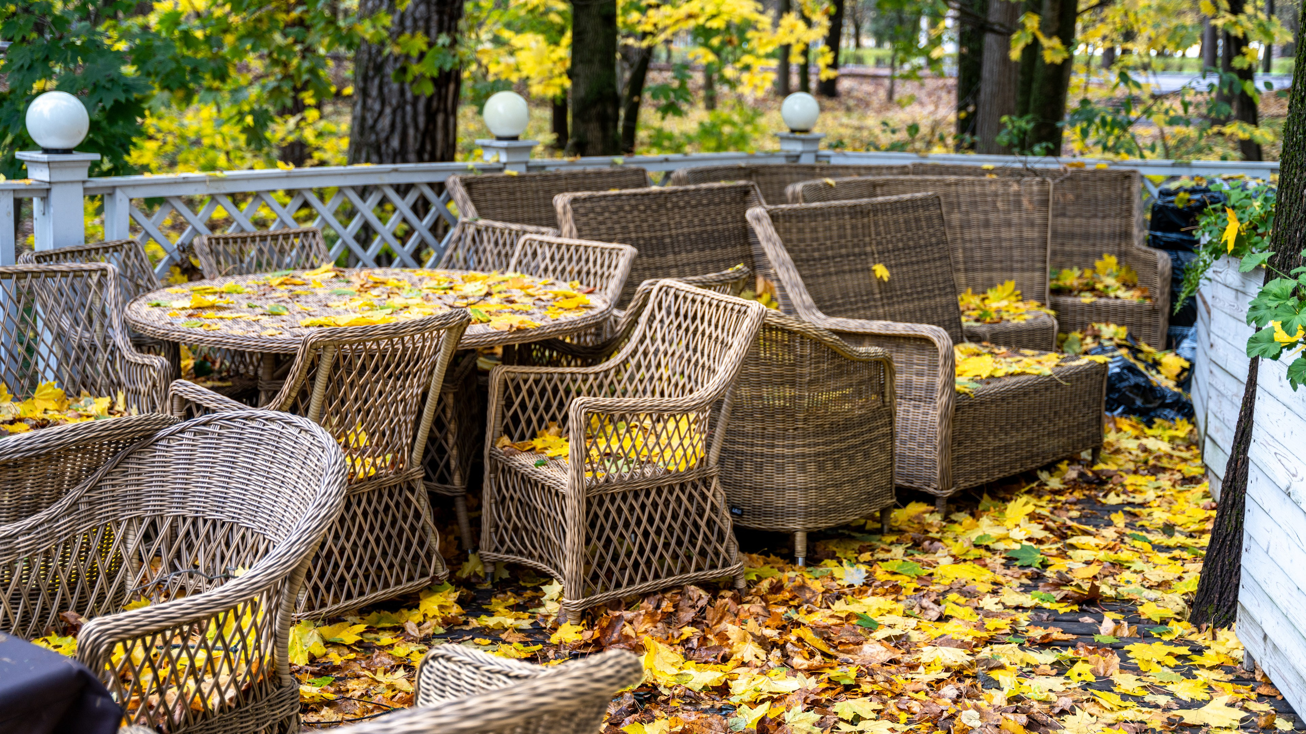 Архангельское. ПОБУДЬ ЗДЕСЬ И ЦЕЛЕЕ БУДЕТ ЭТОТ МИР