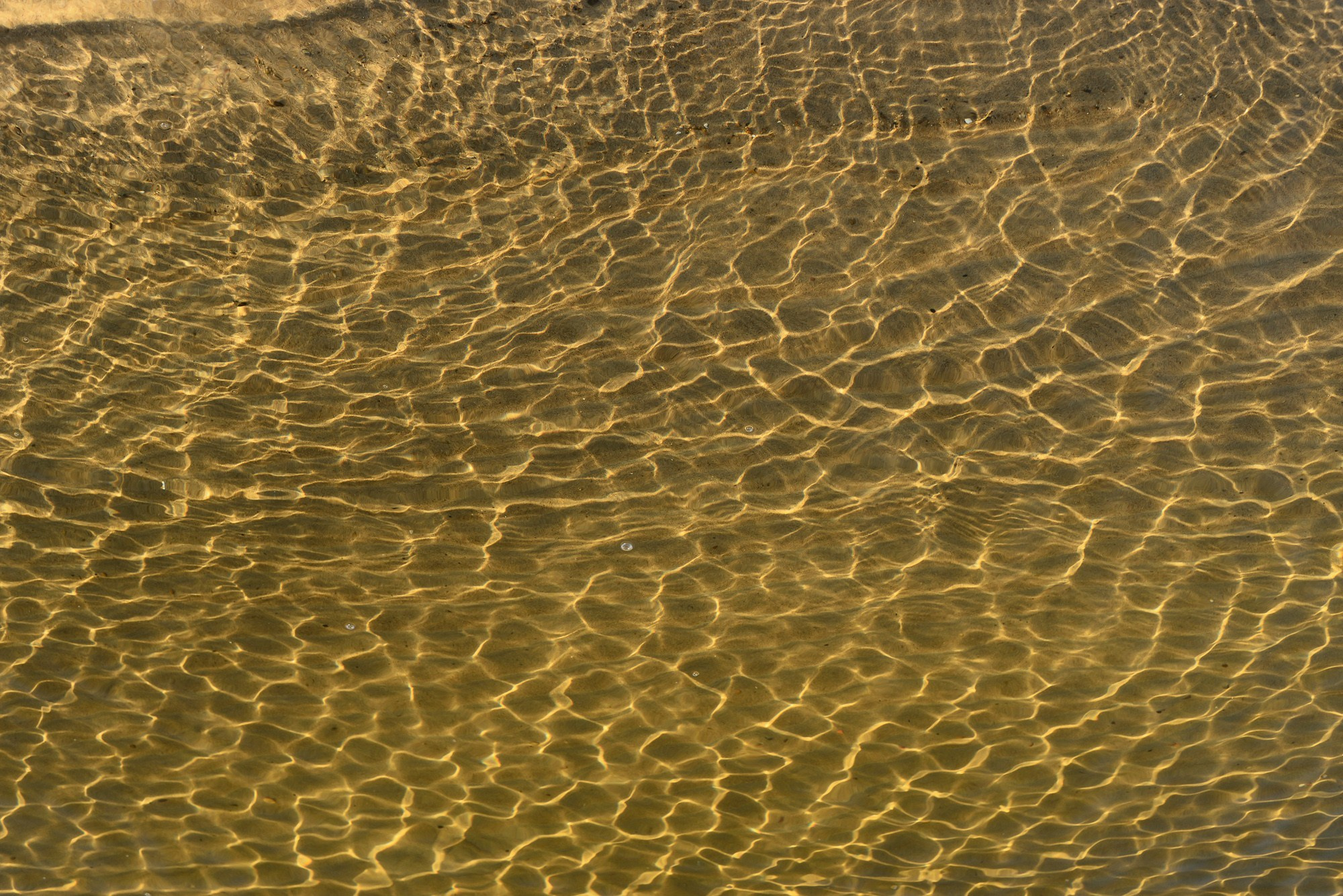 Фотограф Константин Ясинский