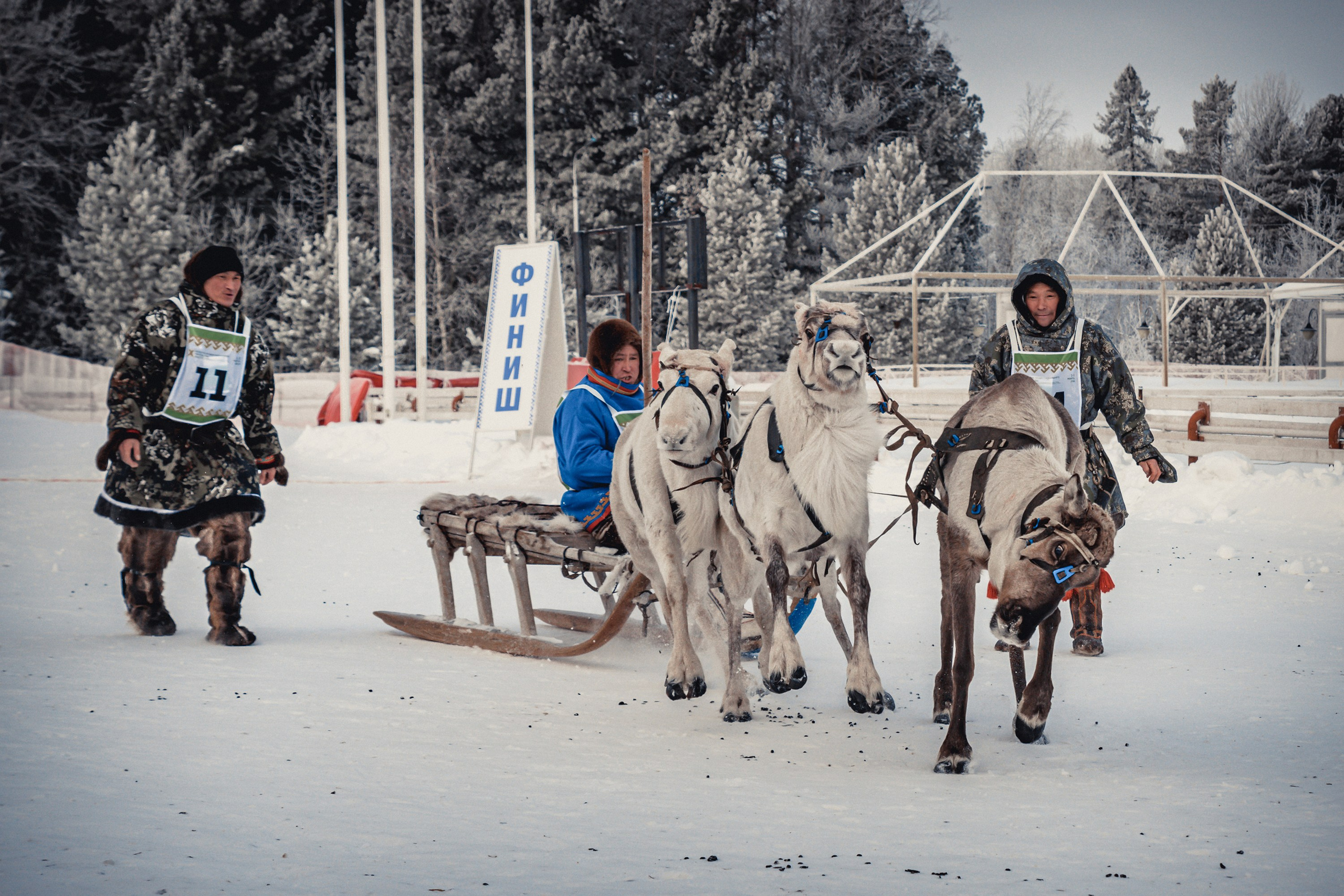 Конкурс оленеводов. Фотограф в Ханты-Мансийске Евгений Жуланов
