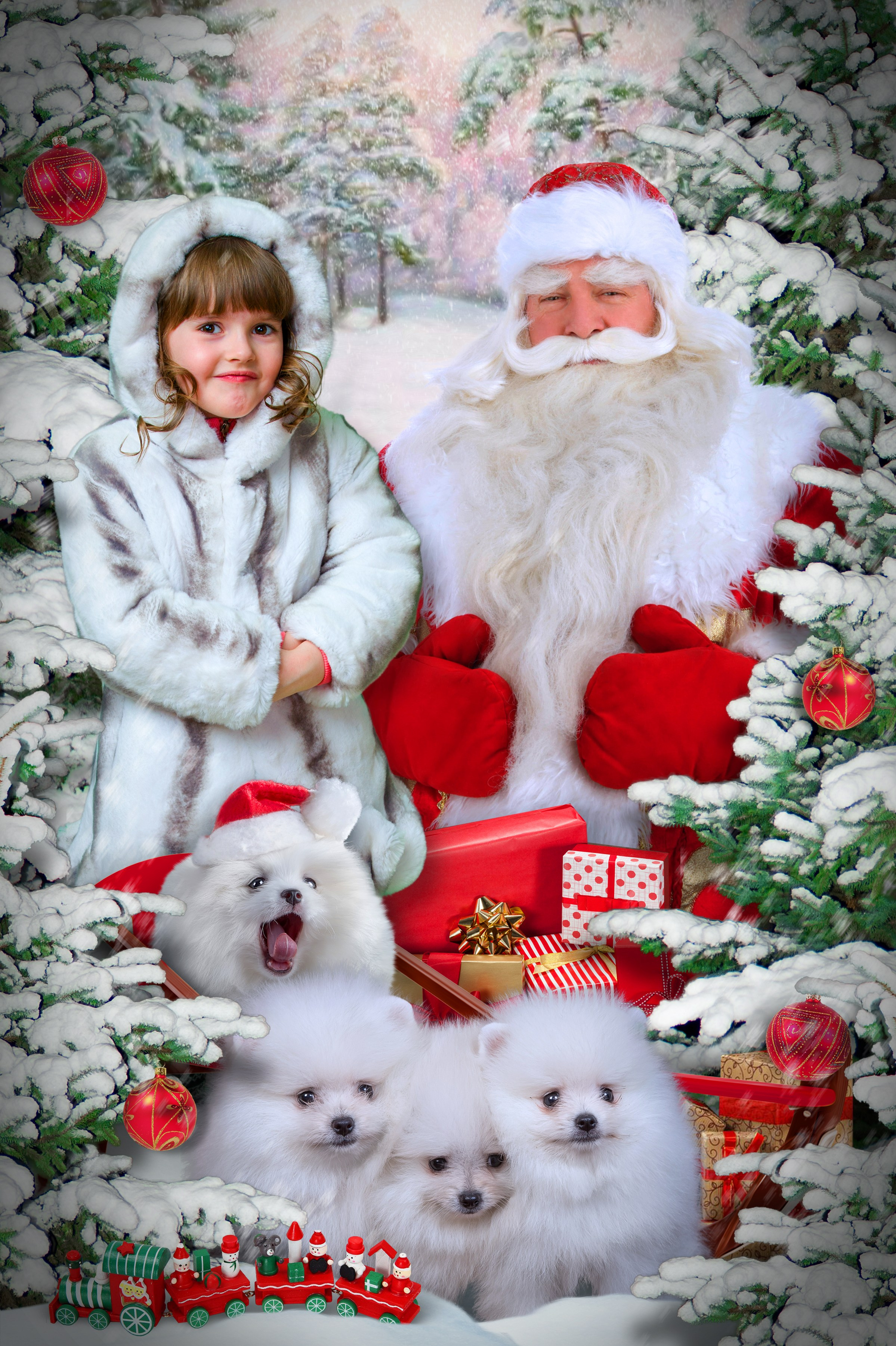 Новый год. Выпускные фотокниги, фотосъемка, видеосъемка в Челябинске и области