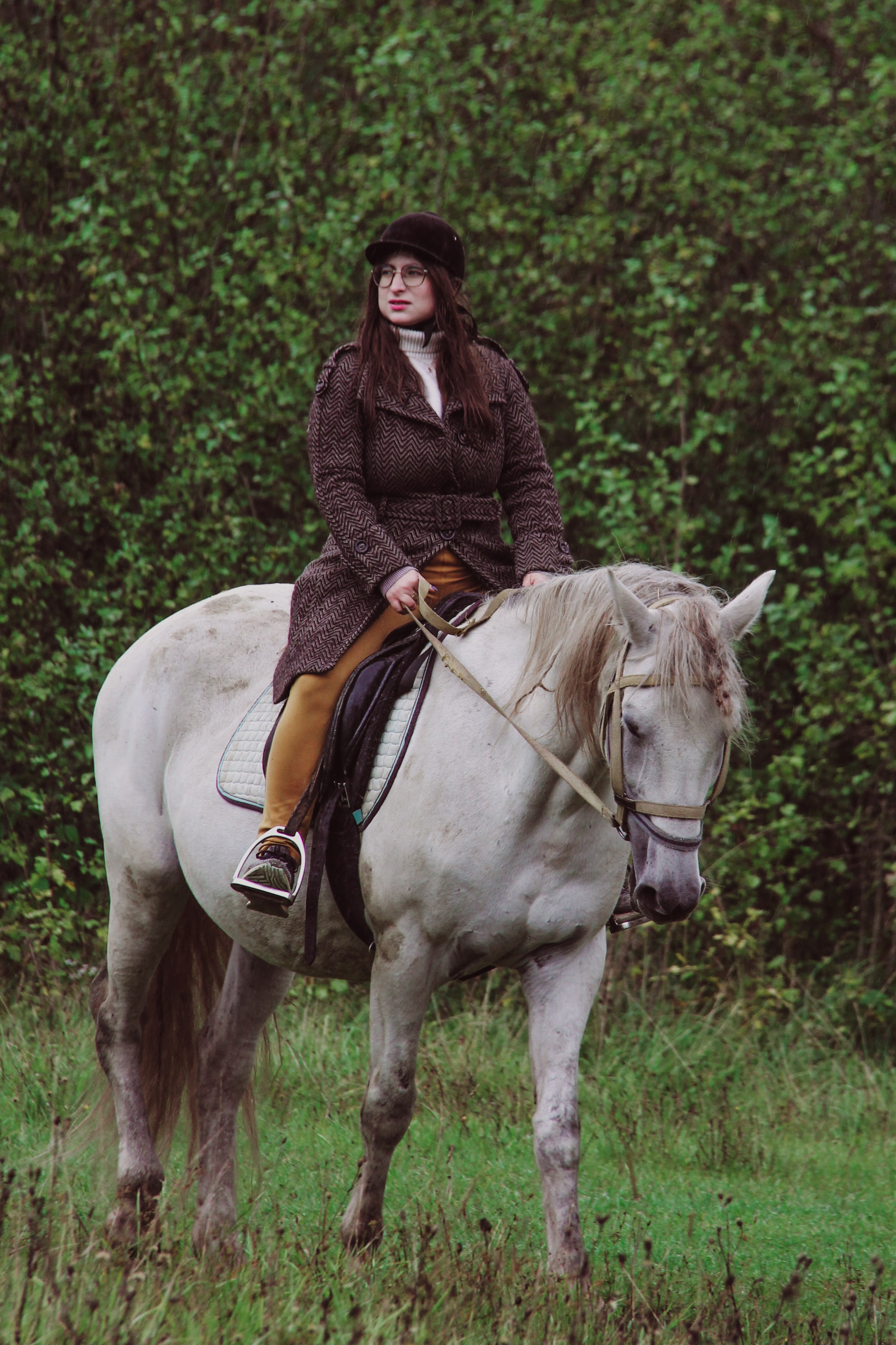 Лошадинг | 27.09.2025. Галерея Фантим