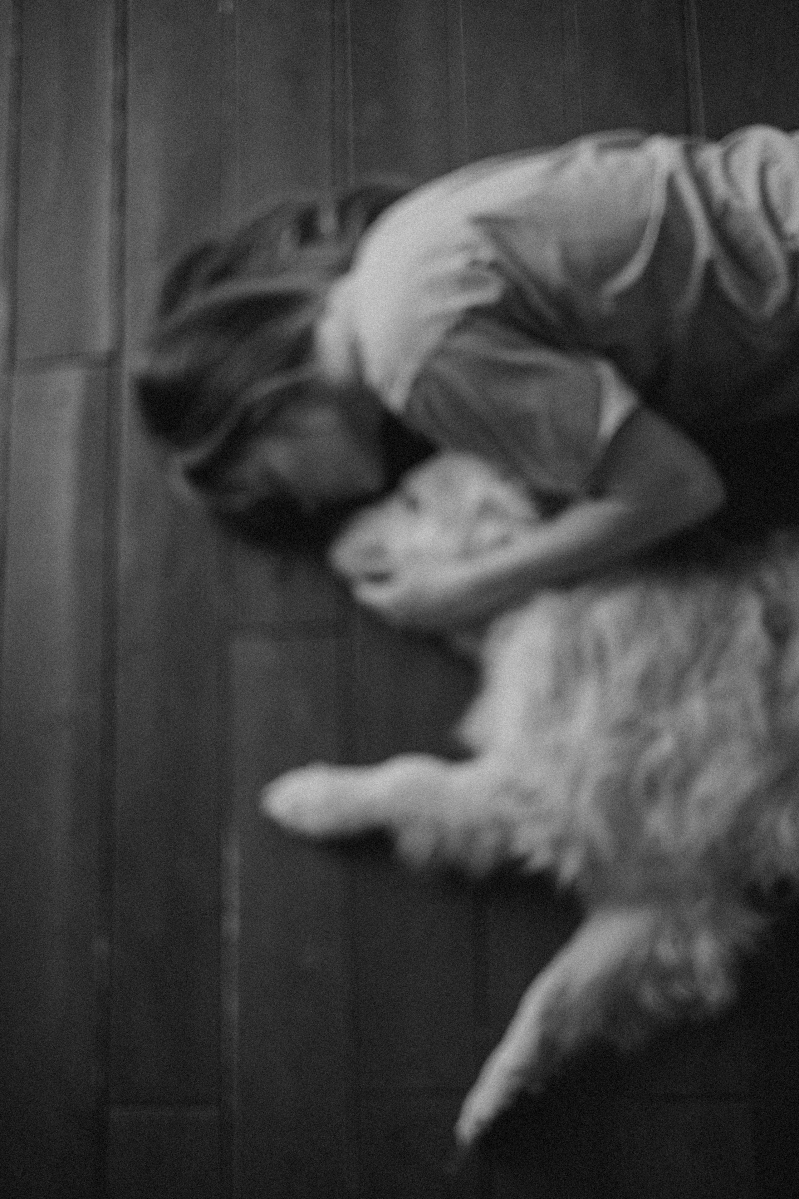 Ирина и Луна. Фотограф — Анималист | Санкт-Петербург