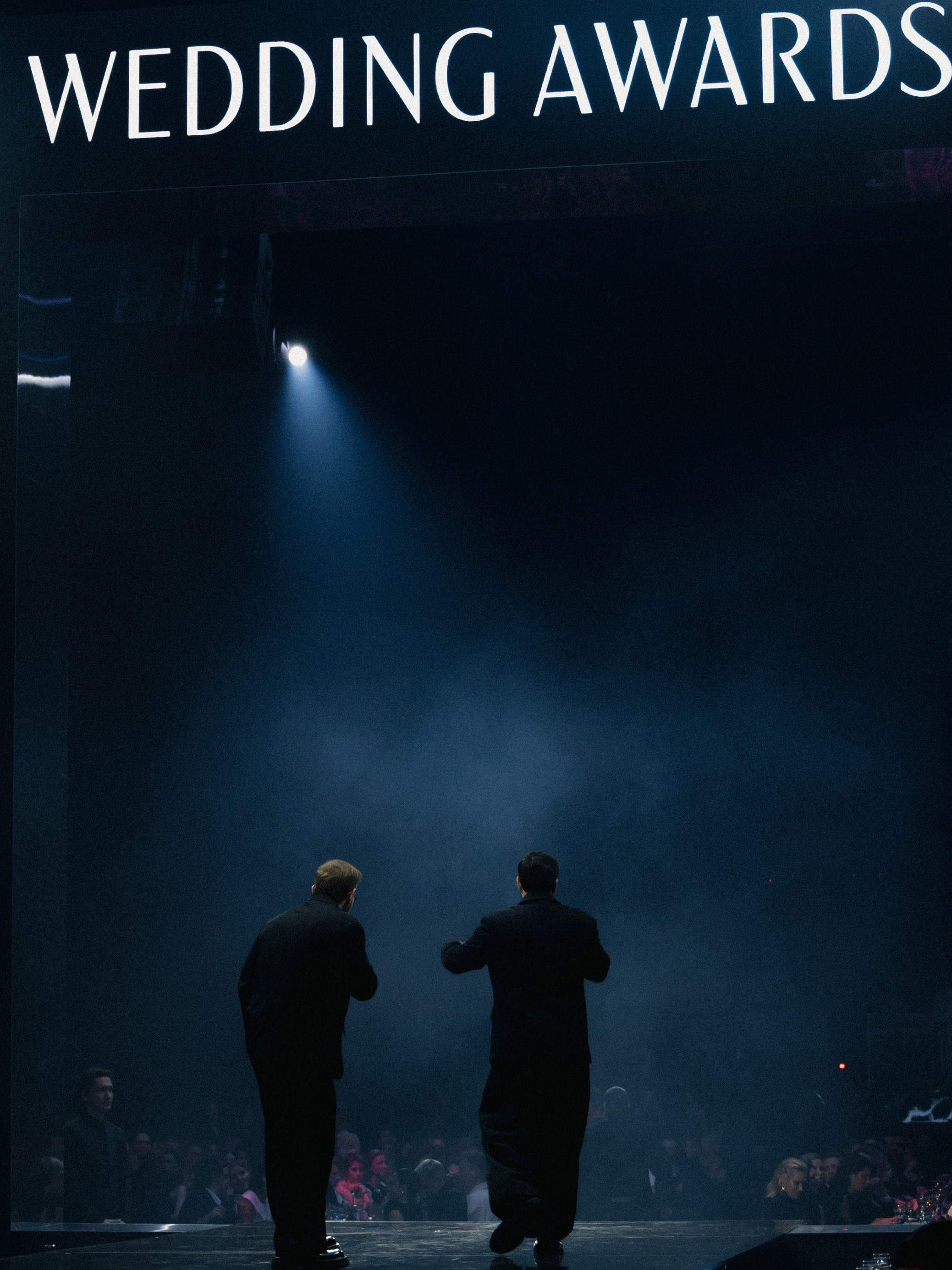 WEDDING AWARDS RUSSIA 2024. Свадебный фотограф Москва Ирина Писарева