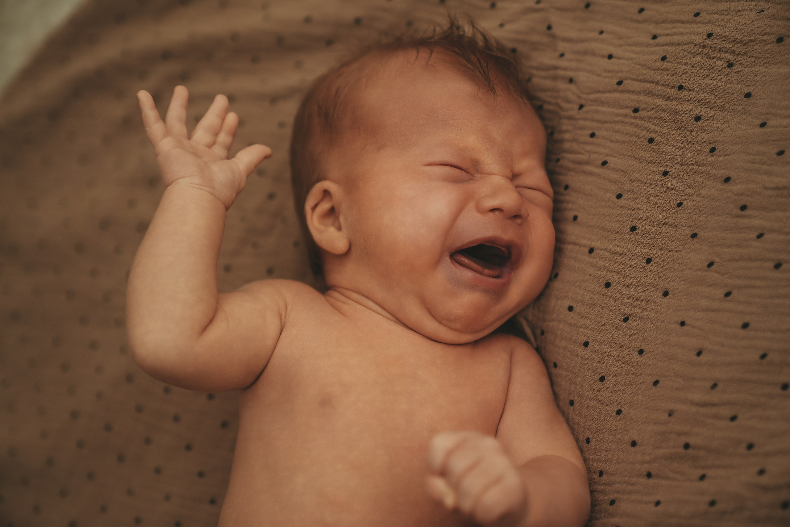 Иван, Мария, Илюша и Майло. Семейный и детский фотограф Плесецк, Мирный Марина Забабурина