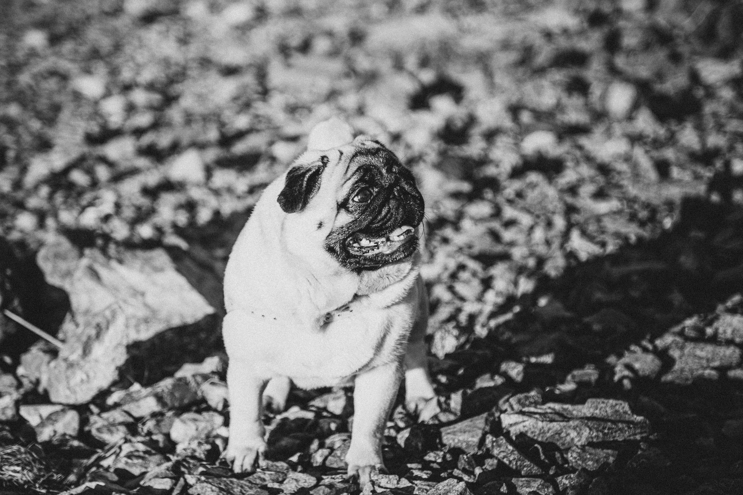 Ветер в волосах. Детский и семейный фотограф, Newborn фотограф новорожденных г. Челябинск