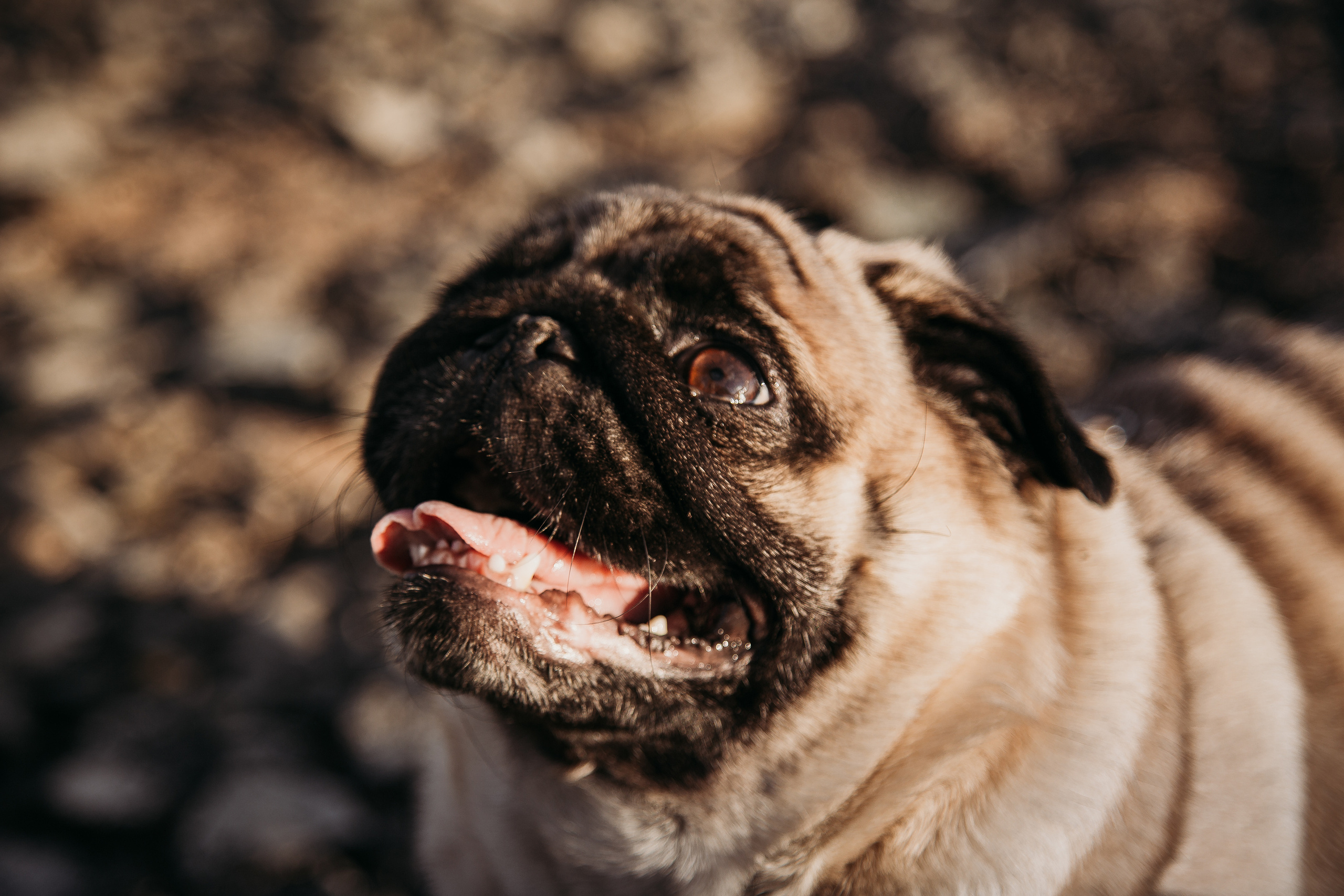 Ветер в волосах. Детский и семейный фотограф, Newborn фотограф новорожденных г. Челябинск
