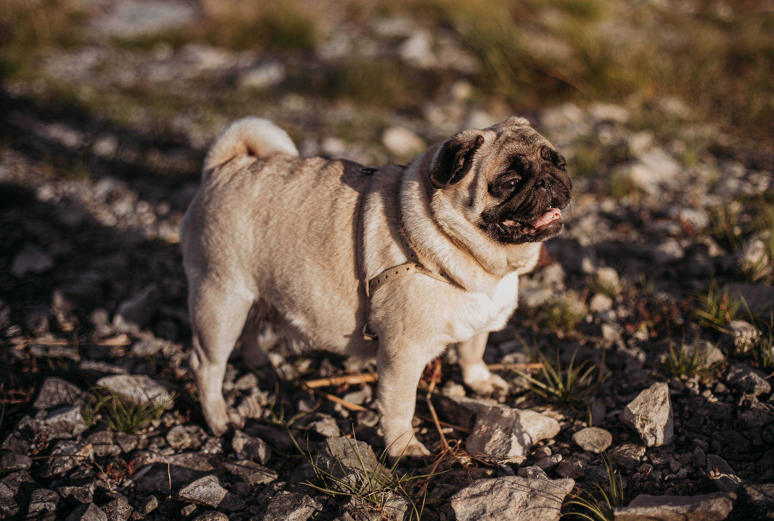 Ветер в волосах. Детский и семейный фотограф, Newborn фотограф новорожденных г. Челябинск