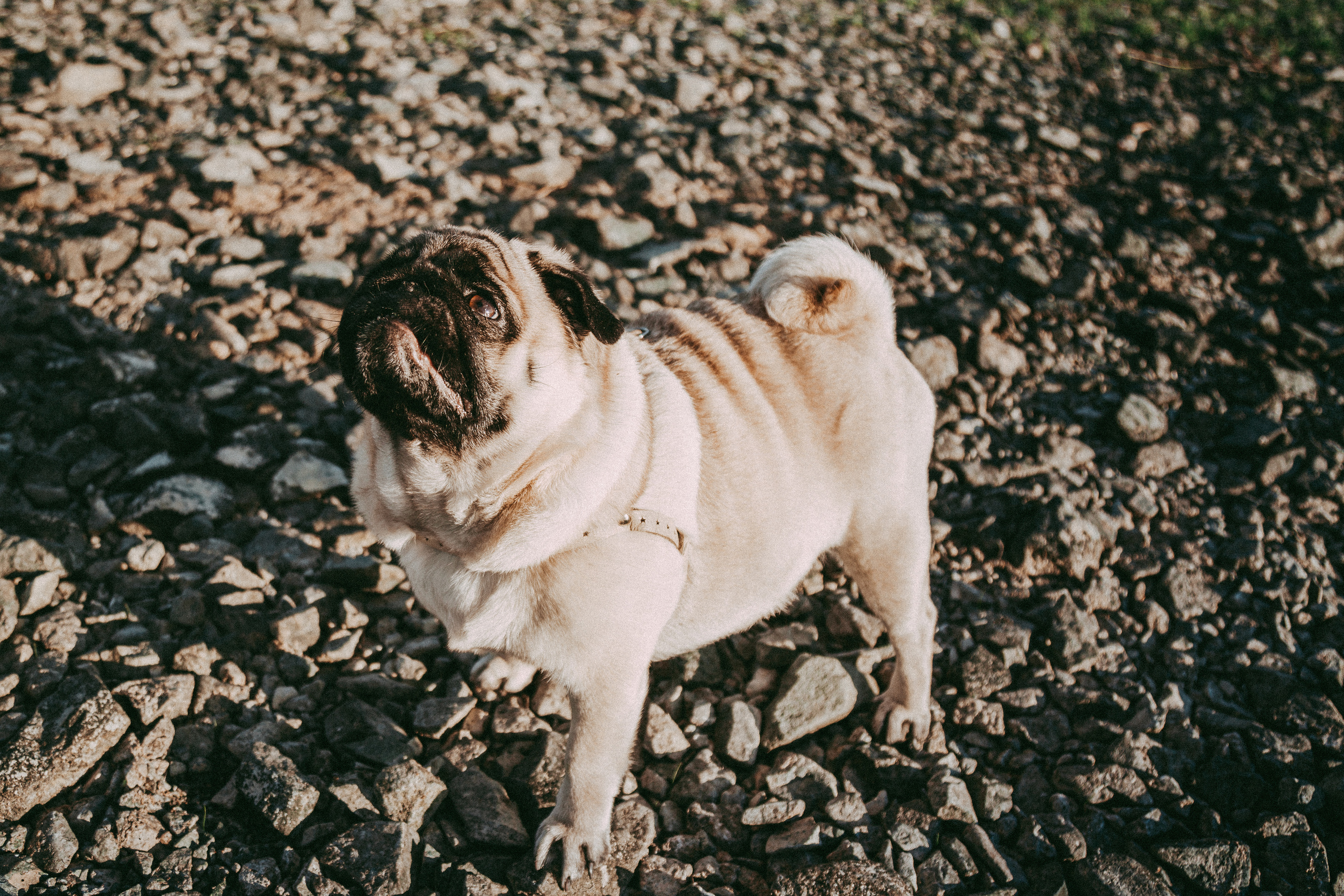 Ветер в волосах. Детский и семейный фотограф, Newborn фотограф новорожденных г. Челябинск