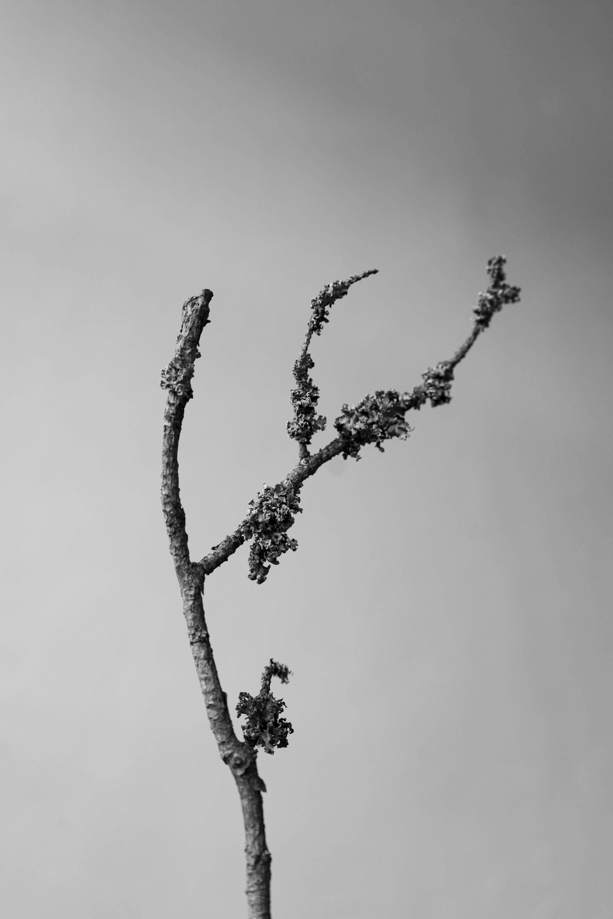 Предметная съемка. Ольга Ибатуллина