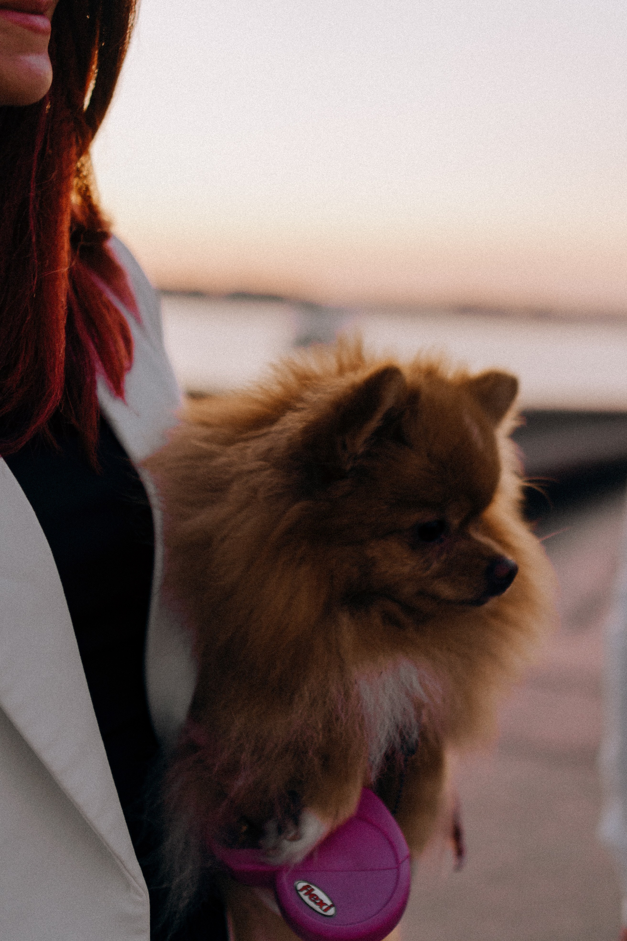 РАССВЕТНАЯ ИСТОРИЯ. Профессиональный фотограф, Санкт-Петербург — Виктория Богомолова