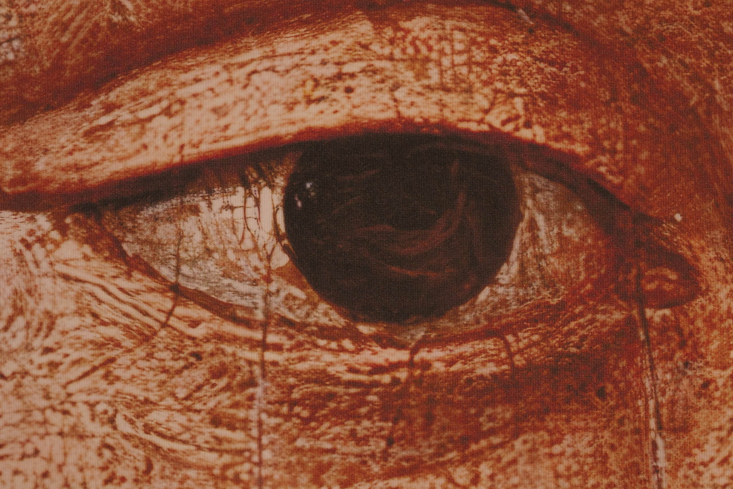 Искусство выбирать | weddingpeople. Свадебный фотограф Михаил Мирзоян